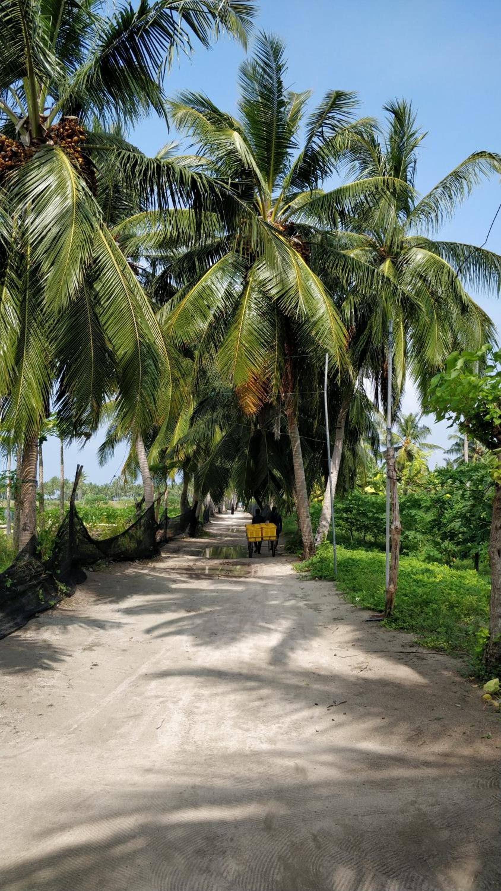 Athiriveli photo 6