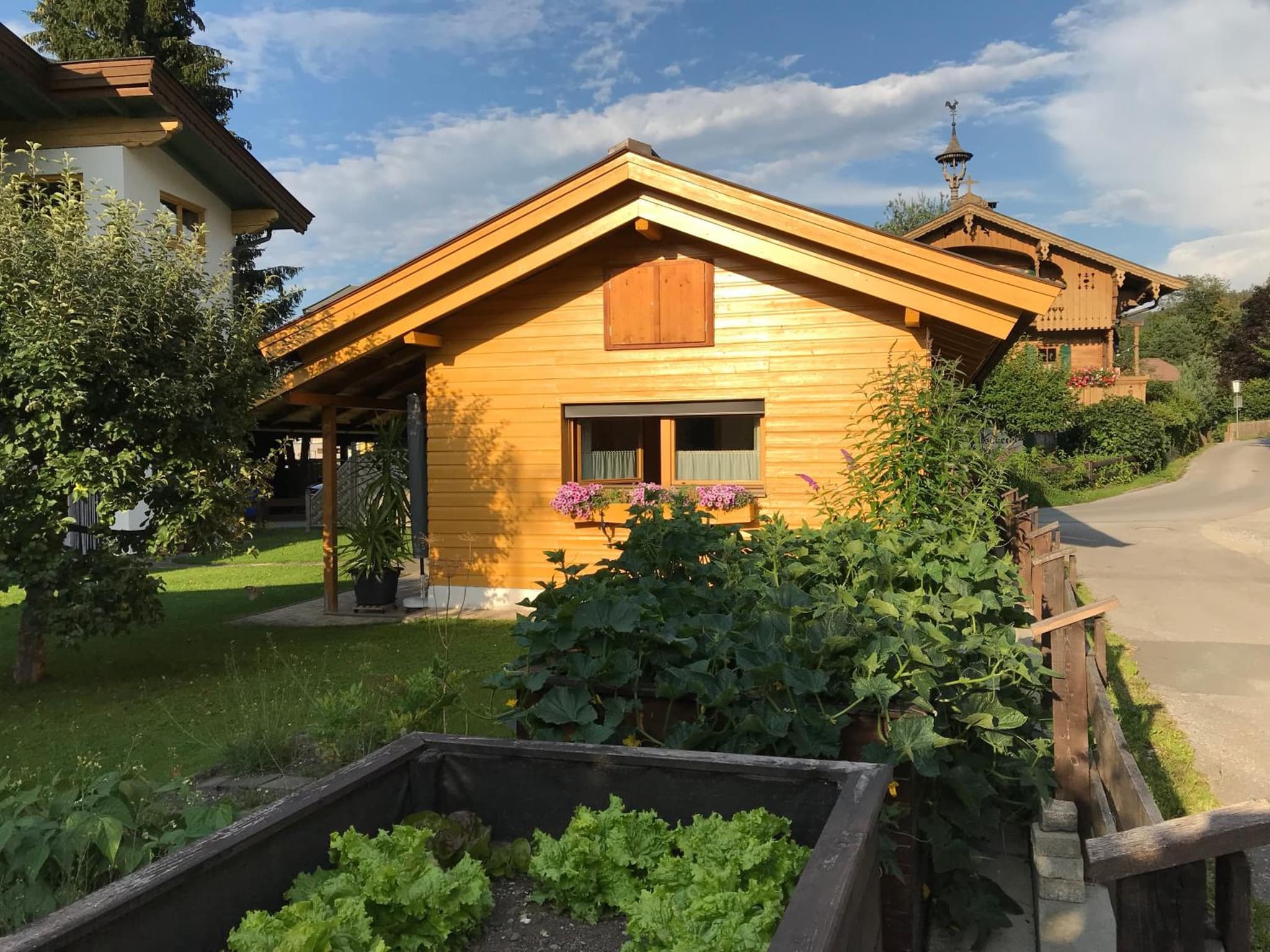 Ferienhaus Hofwimmer photo 8