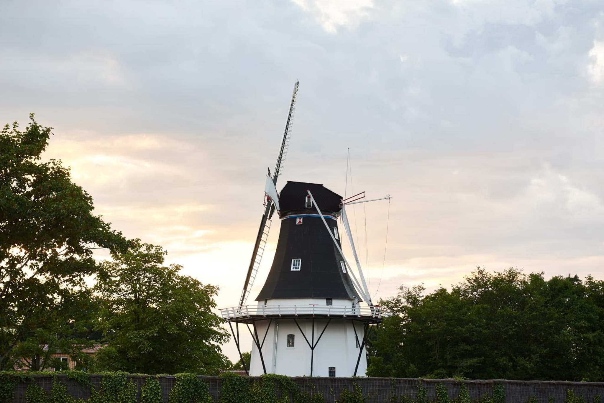 B&B Molenstreek photo 3