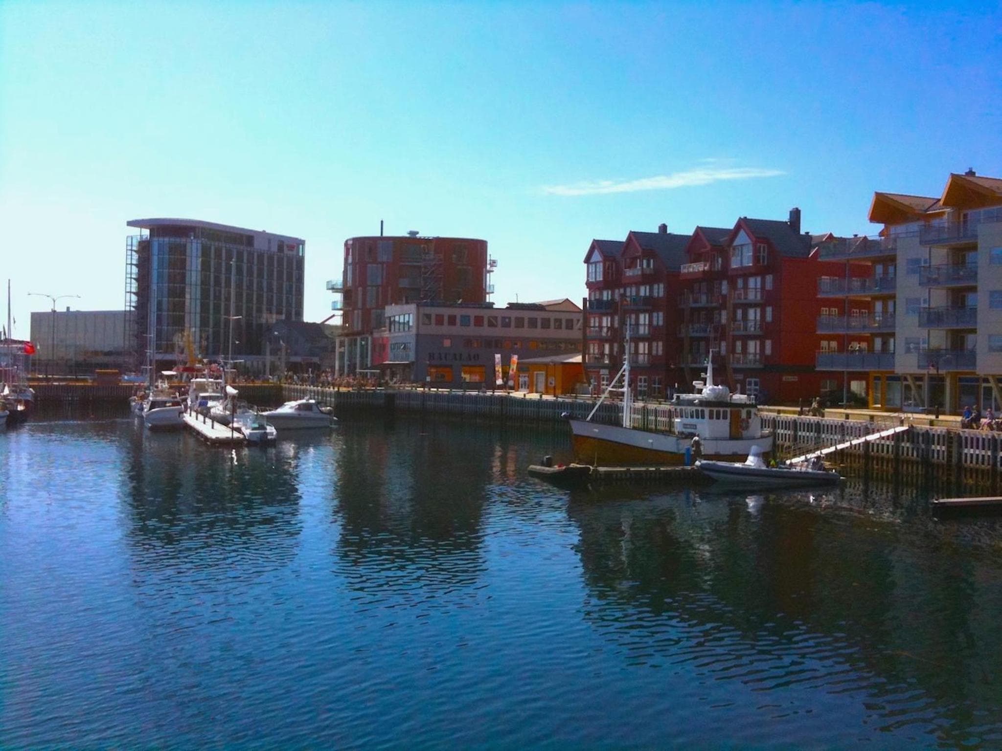 Bird View Lofoten photo 6
