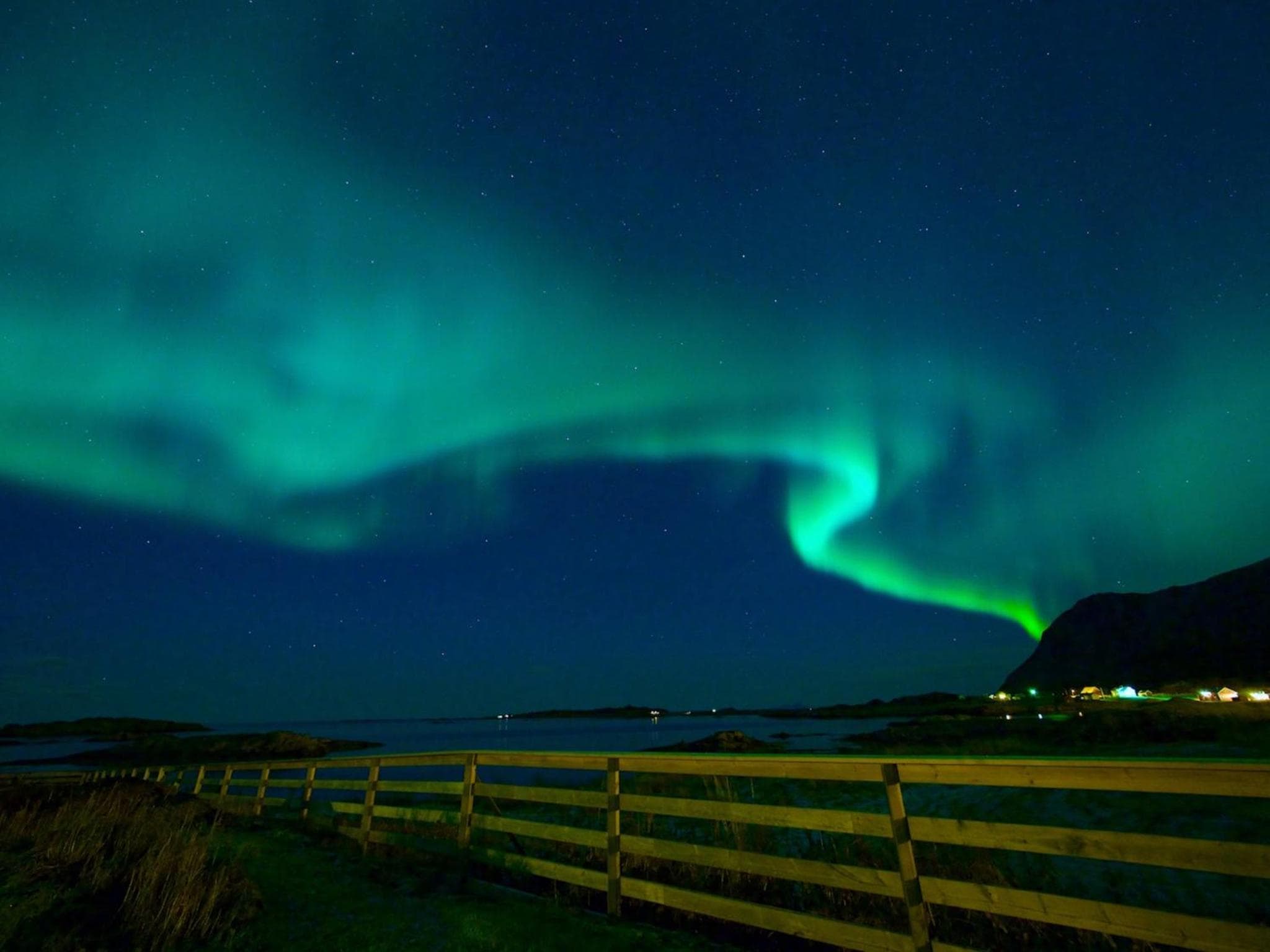 Bird View Lofoten photo 5