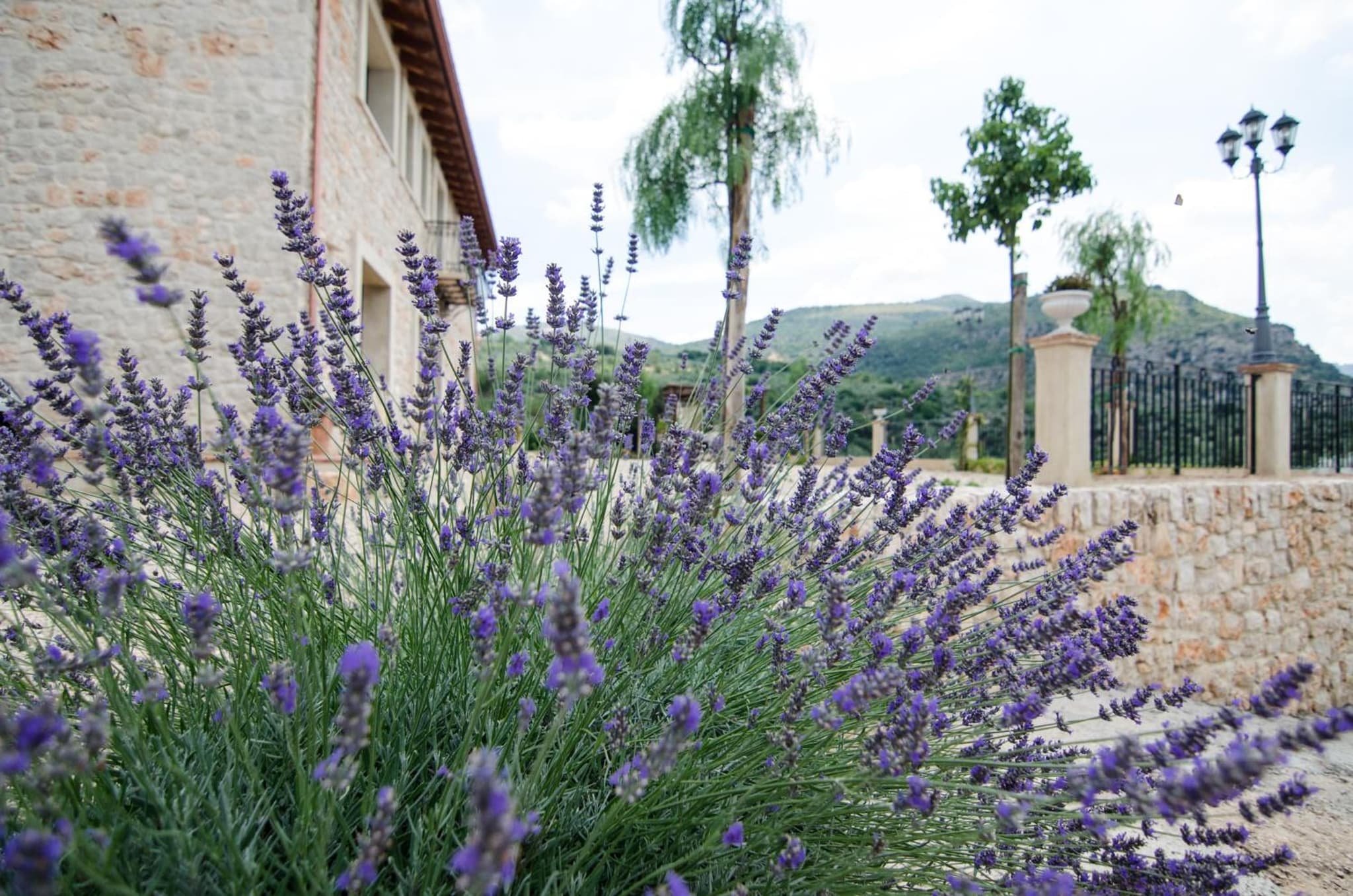 Casale Madeccia photo 2