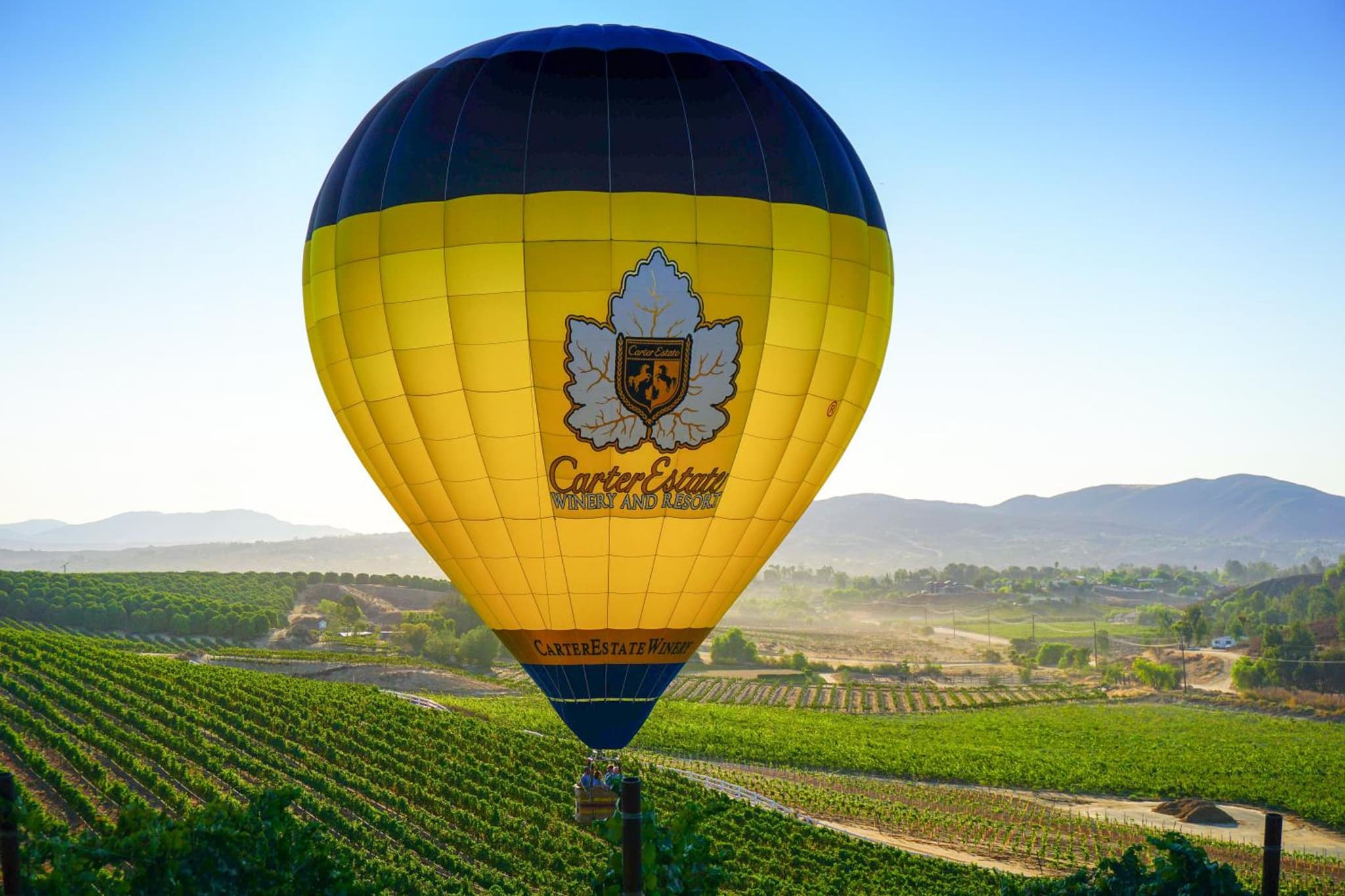 Carter Estate Winery and Resort photo 5