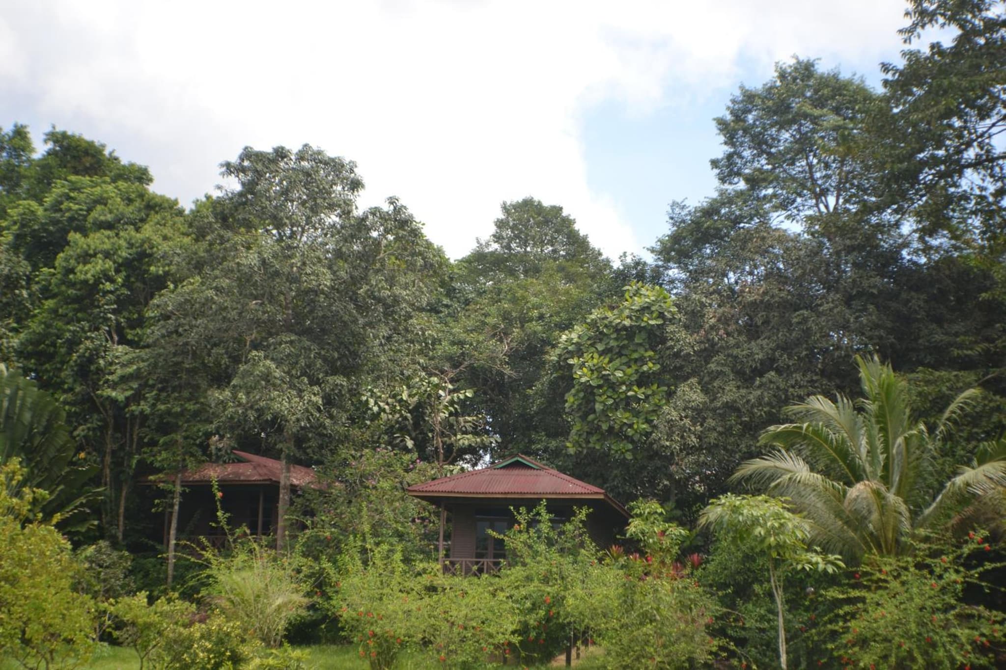 Sepilok Forest Edge Resort photo 4