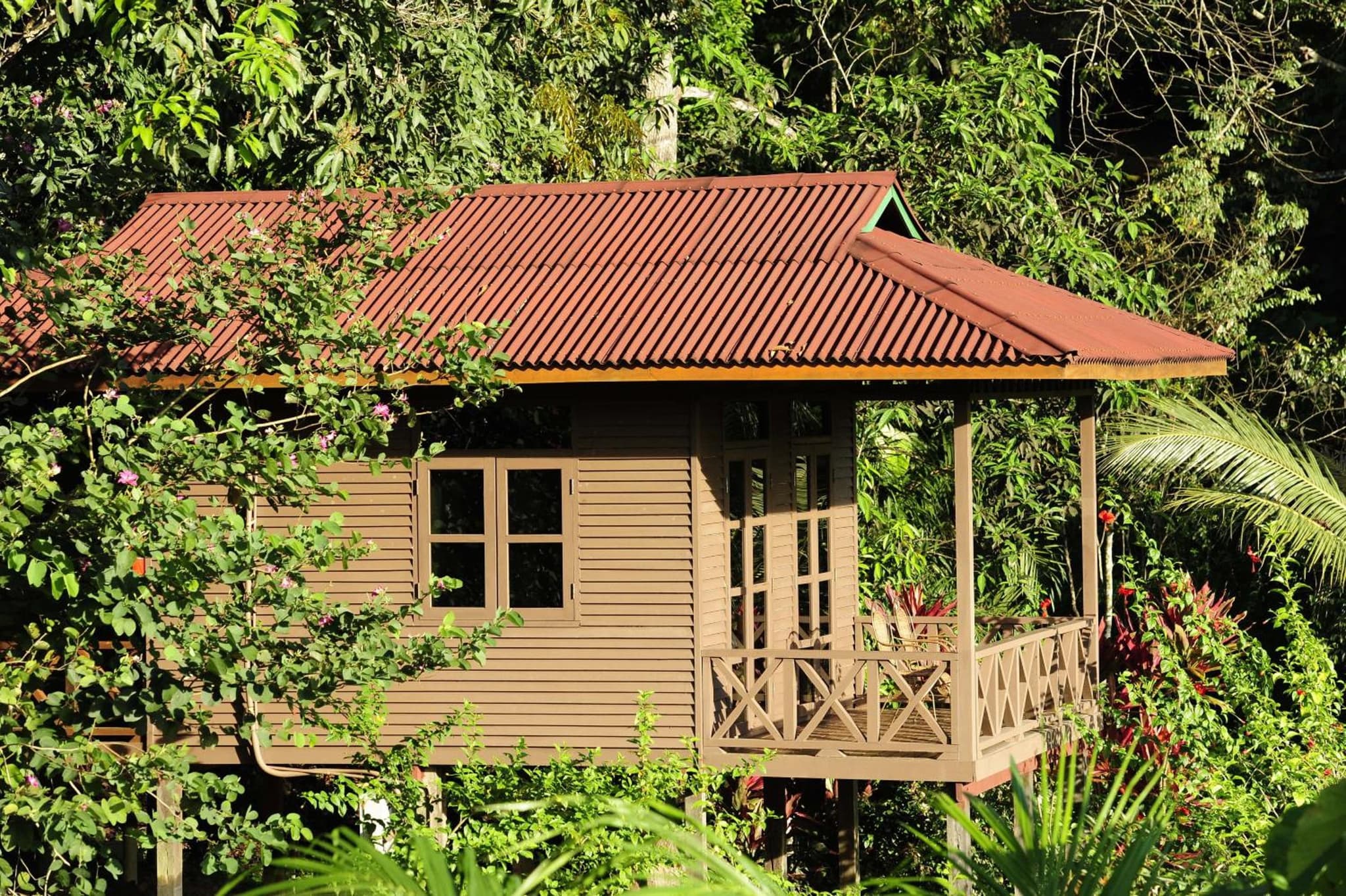 Sepilok Forest Edge Resort photo 8