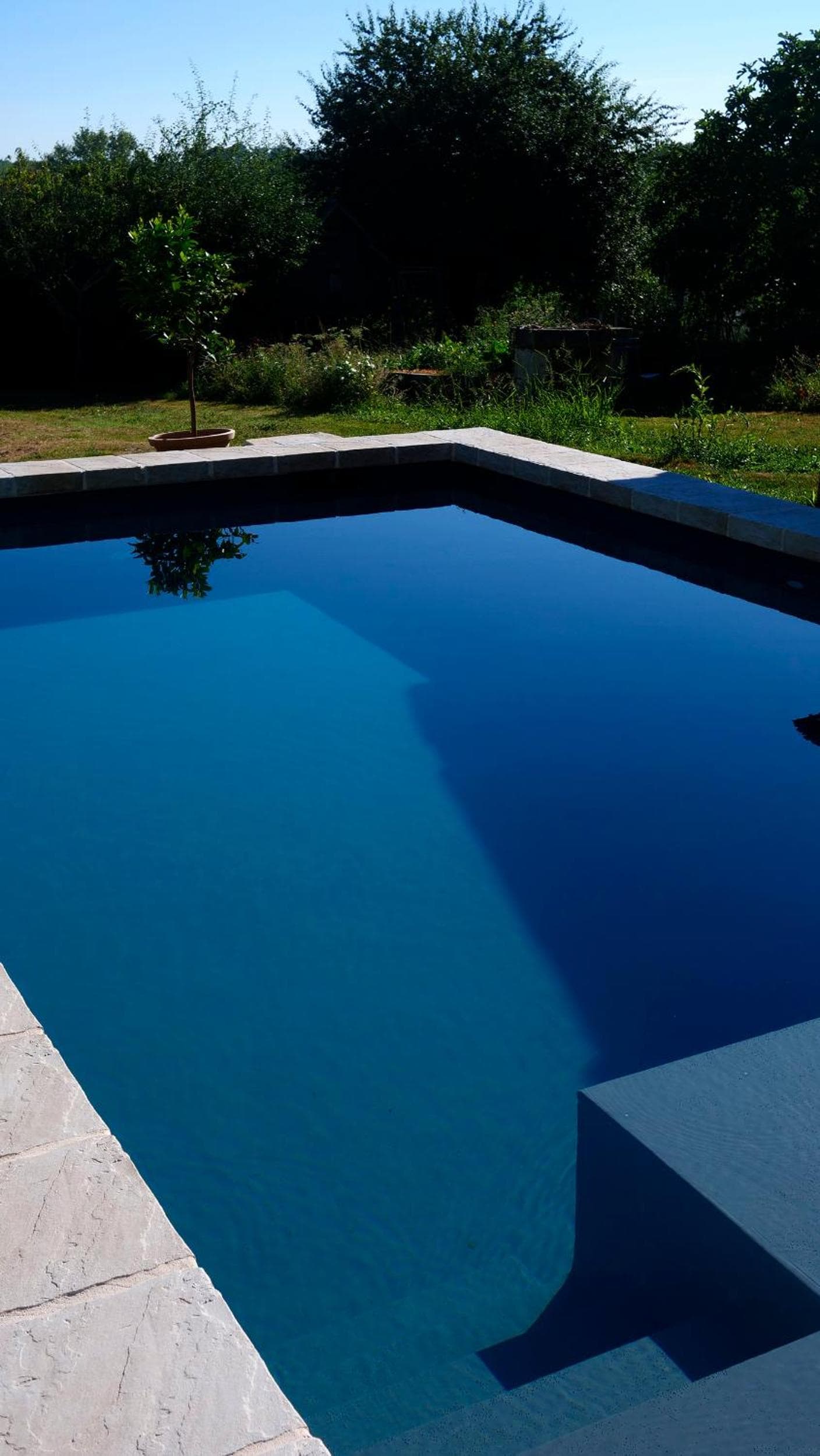 Le clos des abeilles photo 7