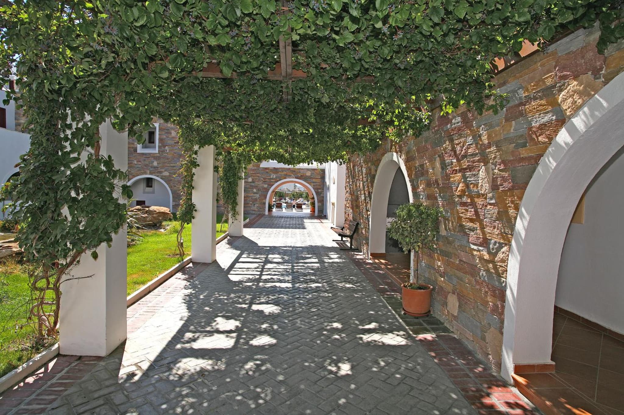 Naxos Resort photo 8