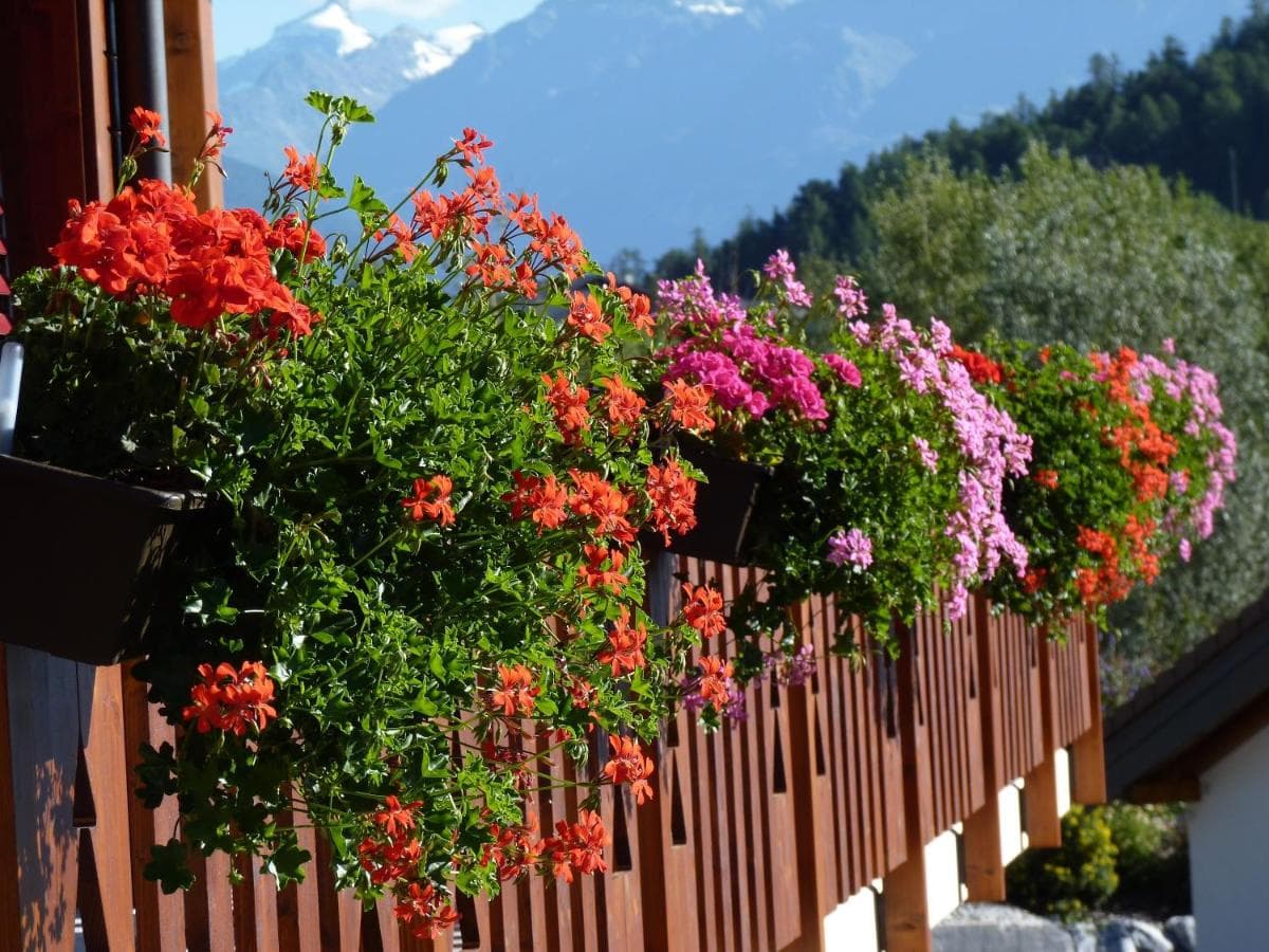 Chalet des Alpes photo 9