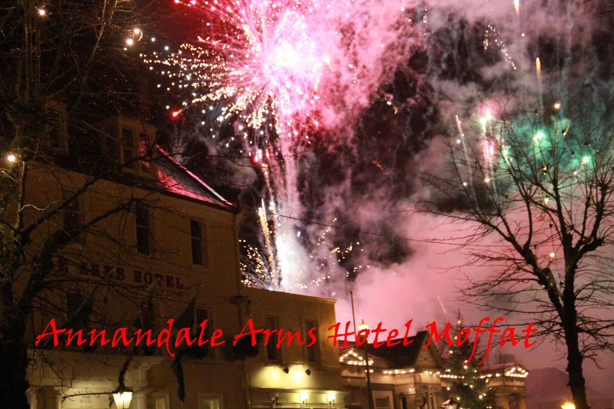 Annandale Arms Hotel photo 9