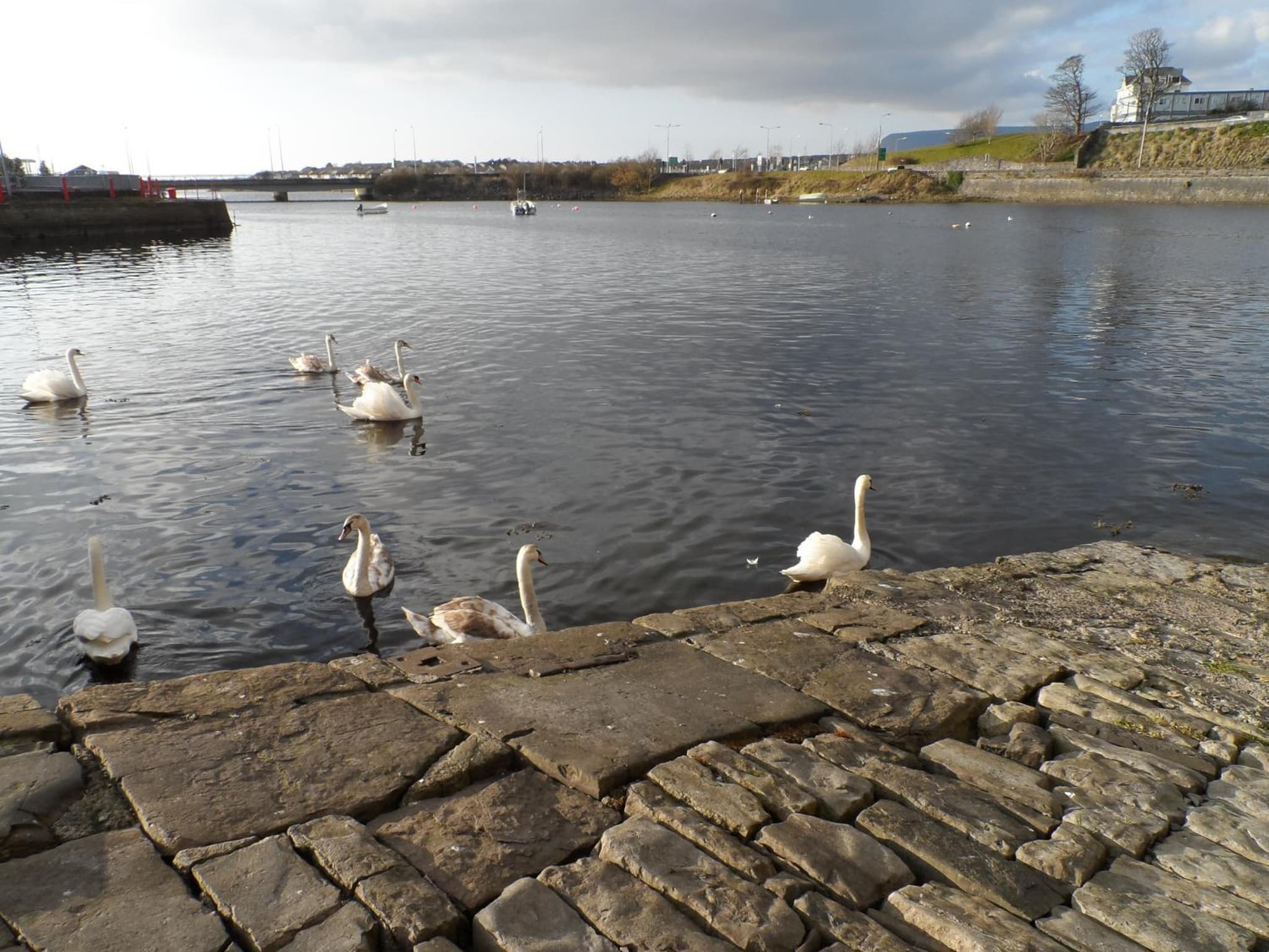 The Address Sligo photo 3