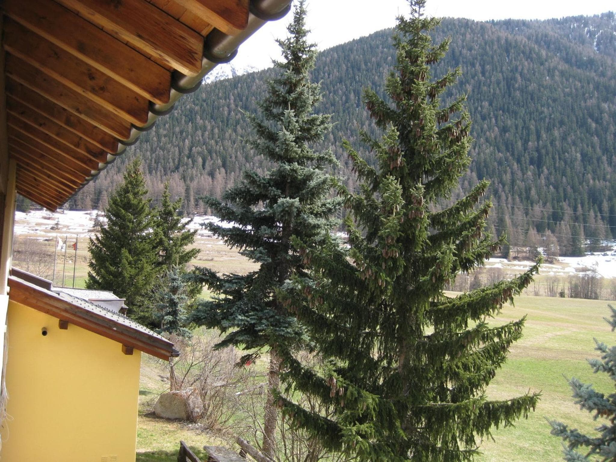 Hotel Pizzeria Selva photo 3