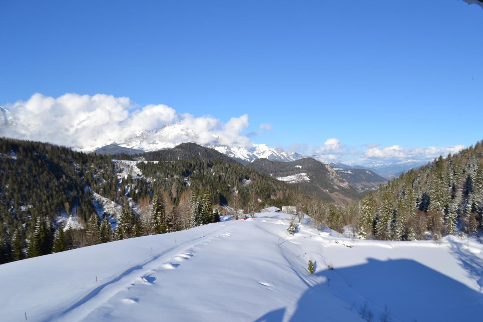 Innviertler Berggasthof photo 2