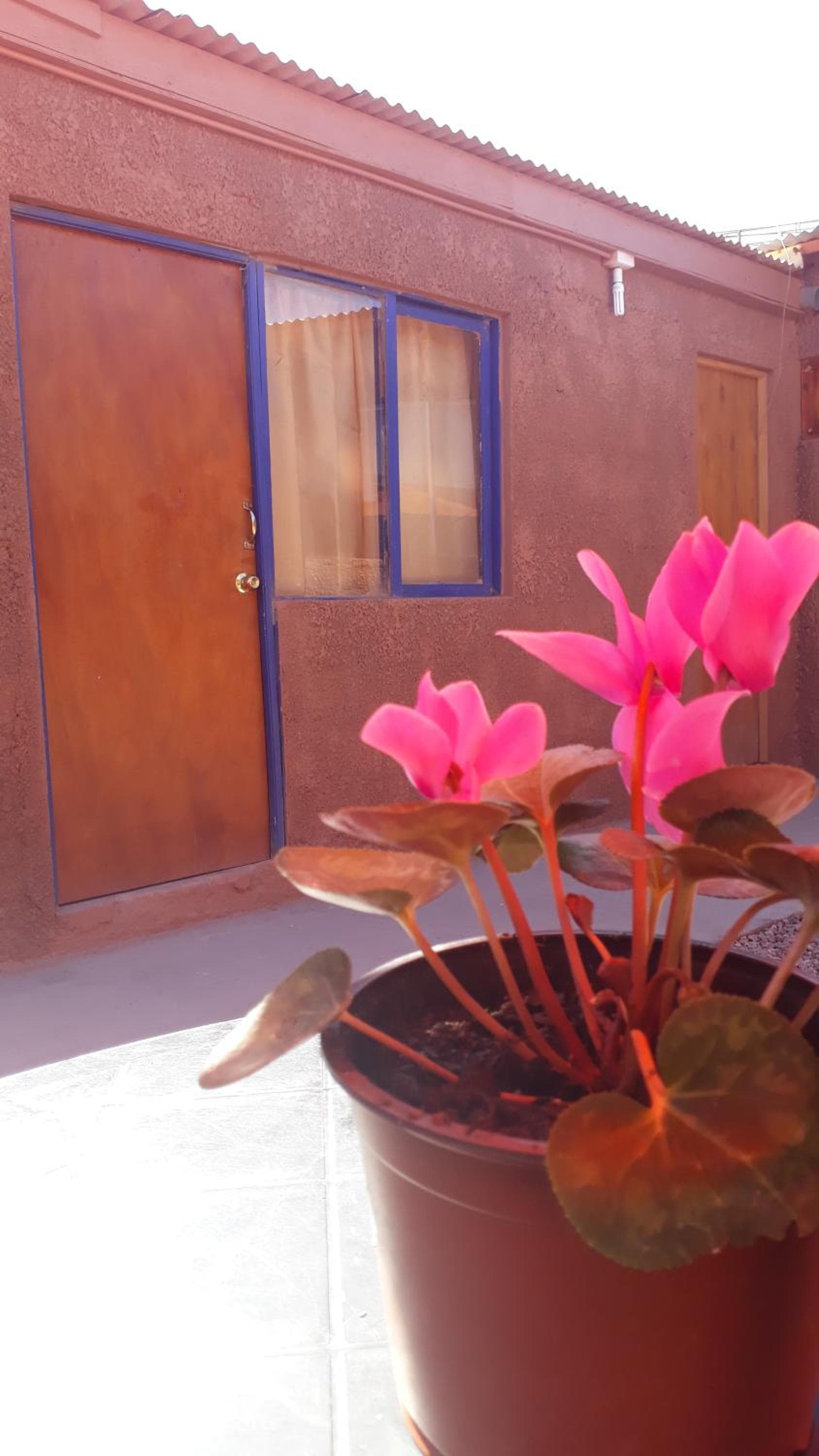 Hostal Open House