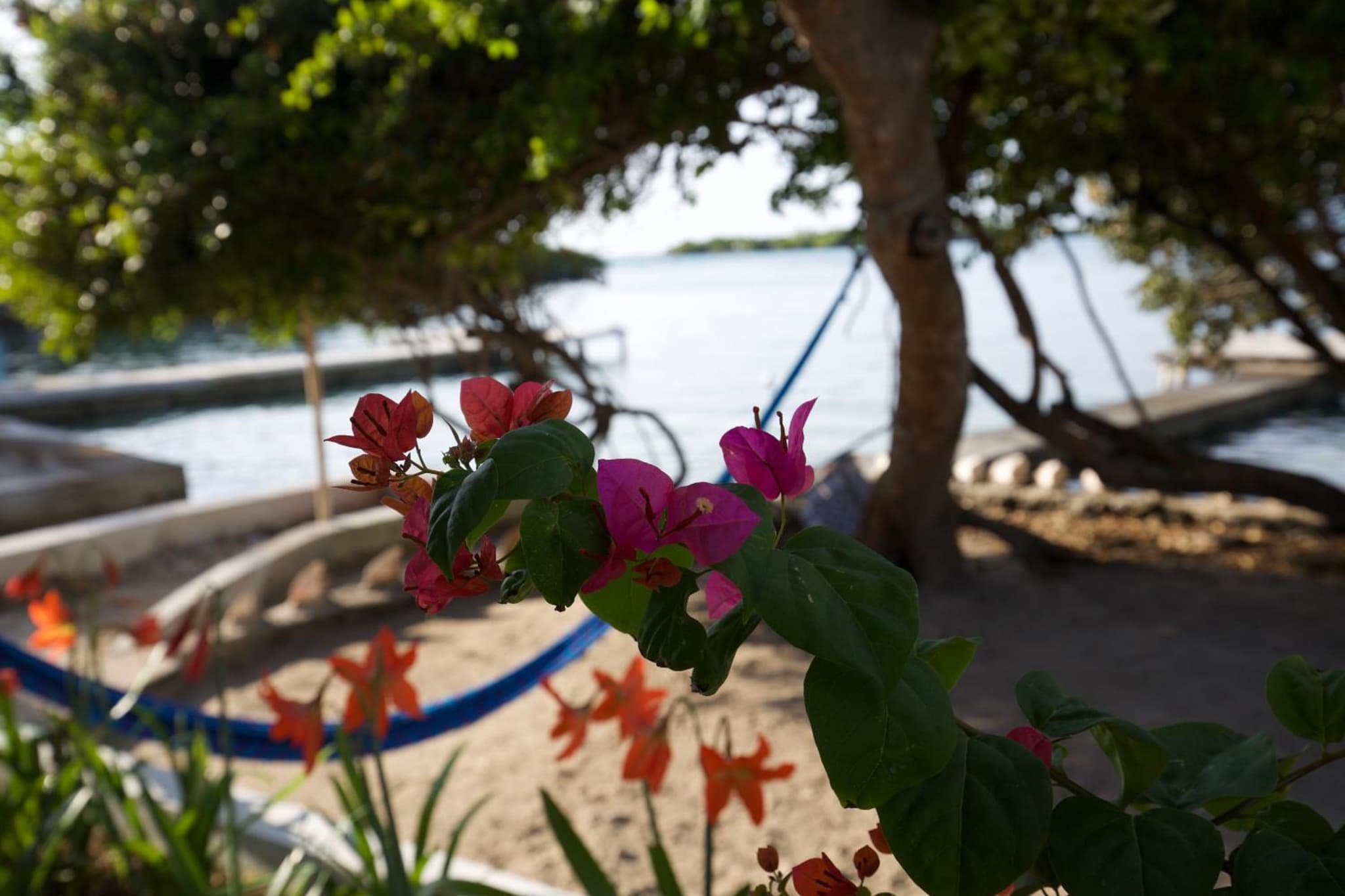 Isla Tijereto photo 4