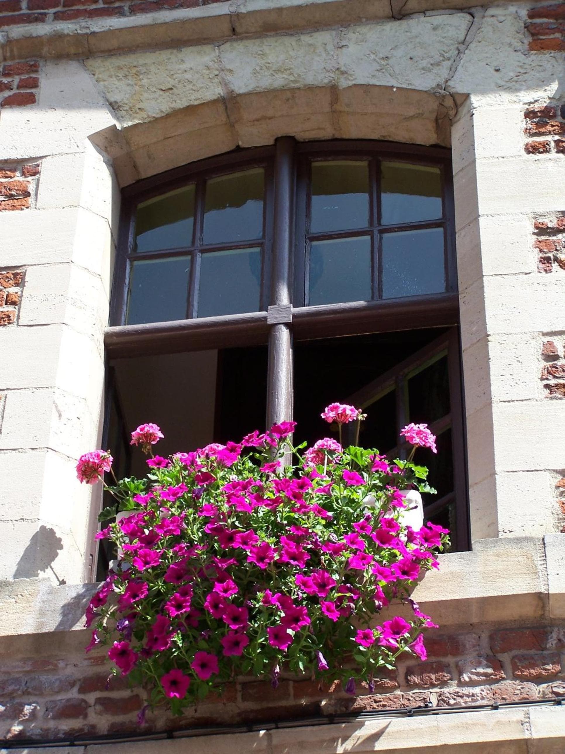 Auberge Du Bon Fermier photo 9