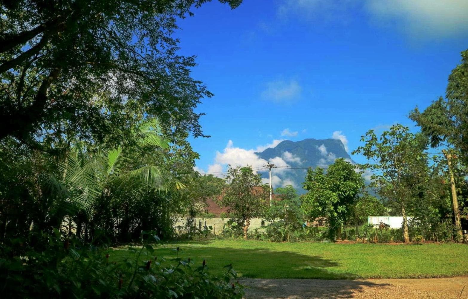 Chiang Dao Reset photo 3