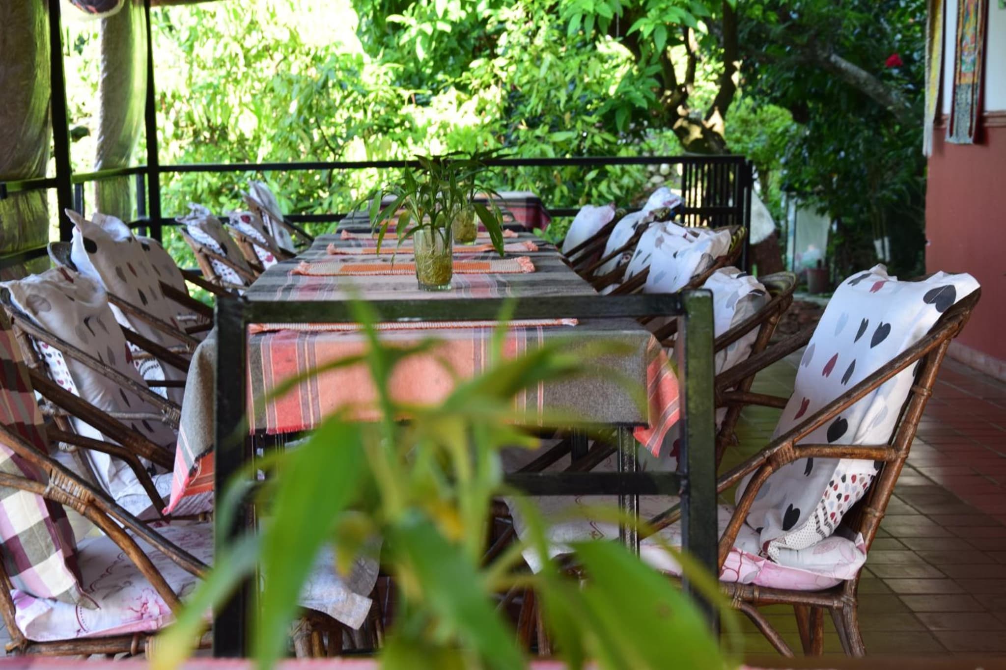 Siddhartha Garden Ayurveda photo 8