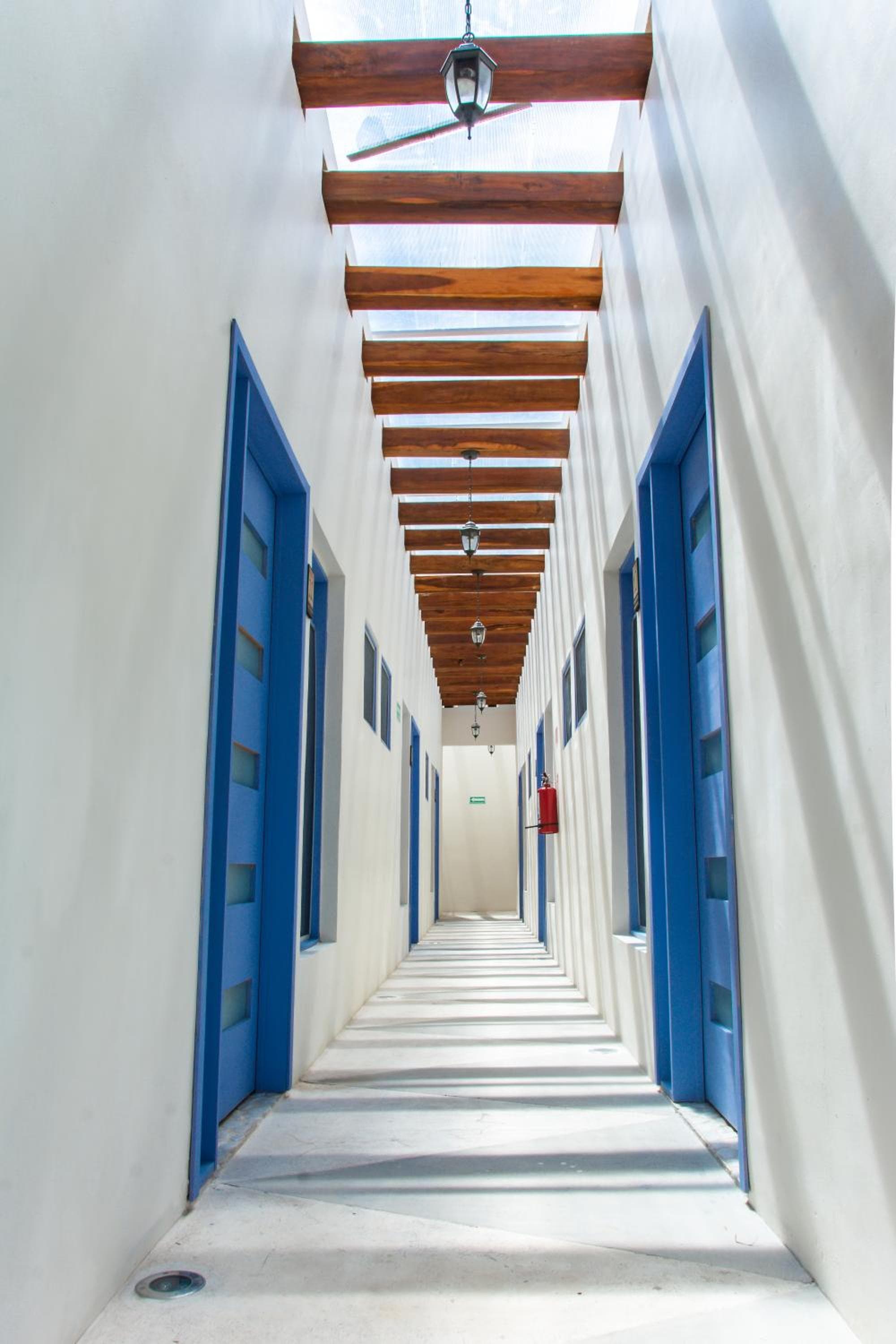 Hotel Villa Balu photo 3