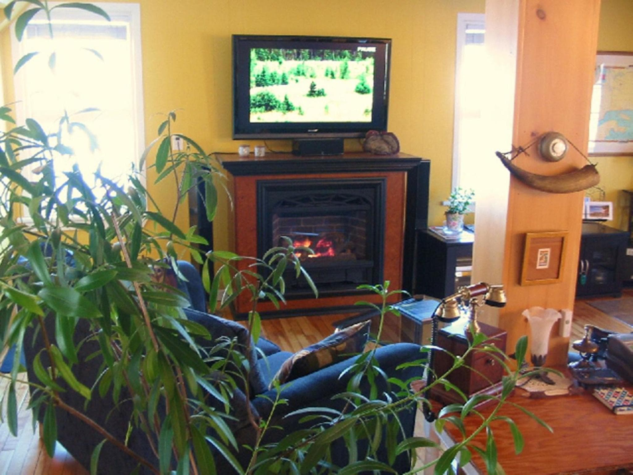 Gîte La Richardière photo 6