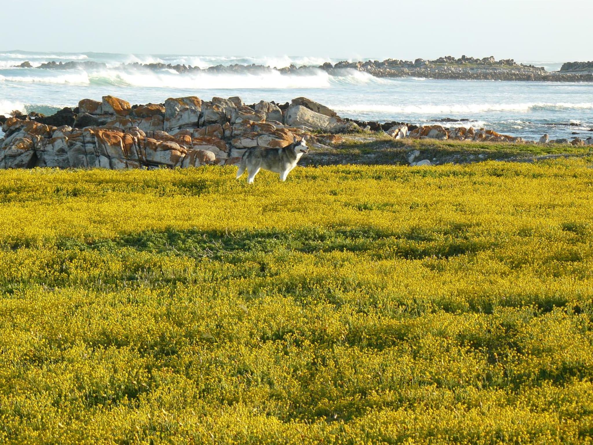 House of 2 Oceans photo 3