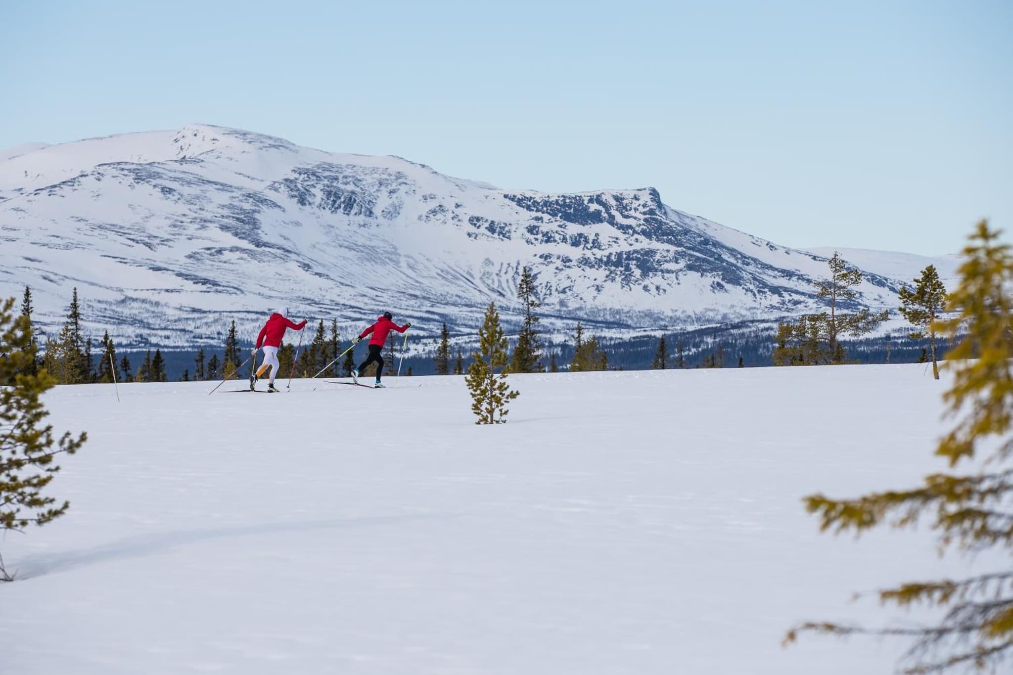Vålådalens Fjällstation photo 2