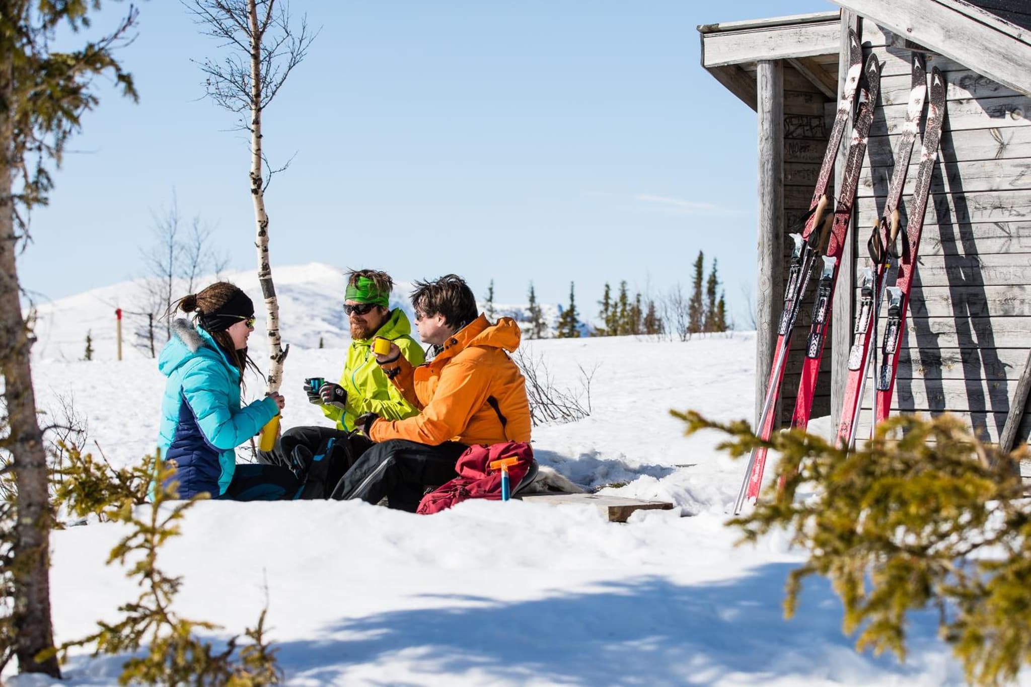 Vålådalens Fjällstation photo 3