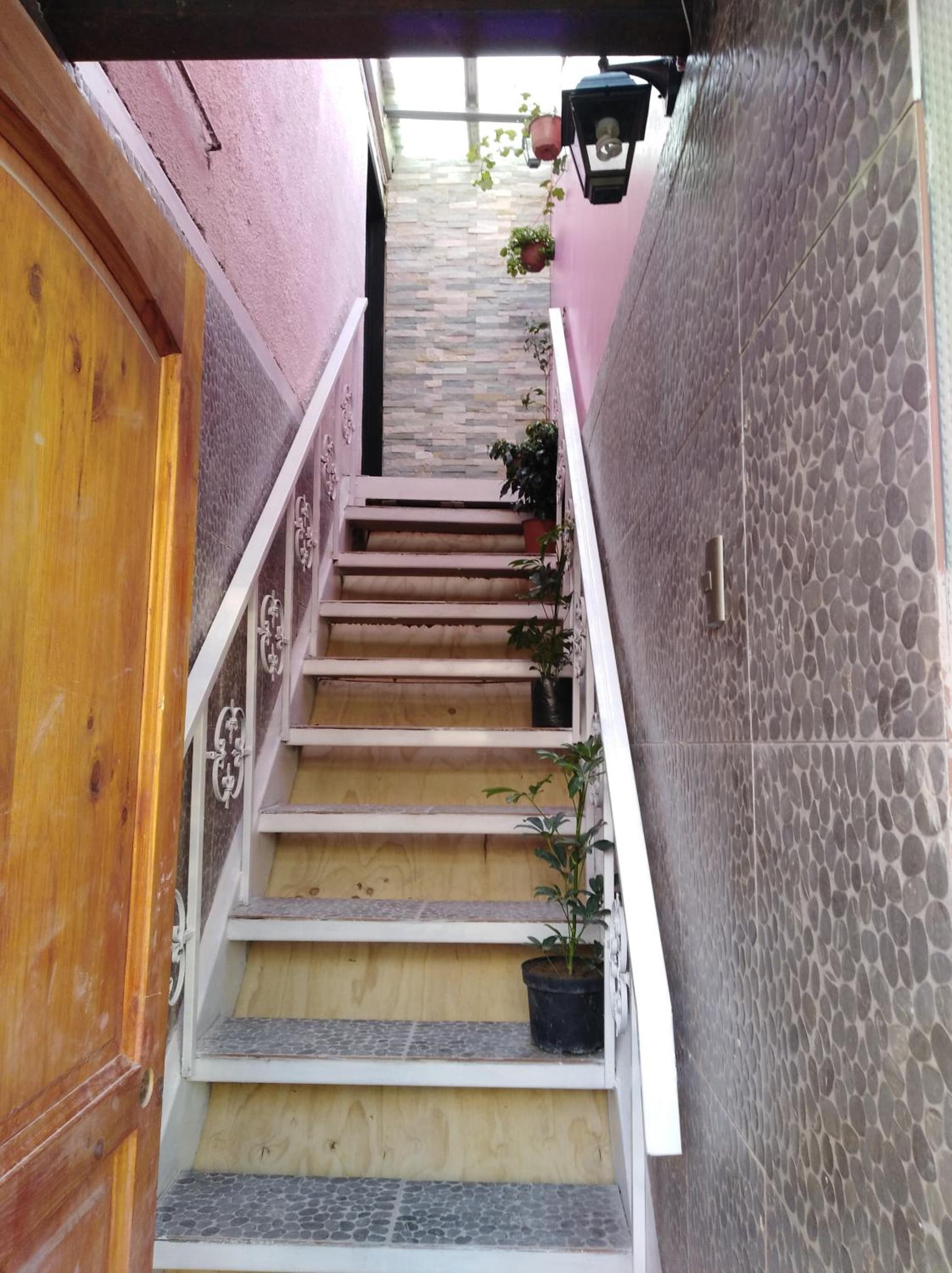 Jallalla photo 7