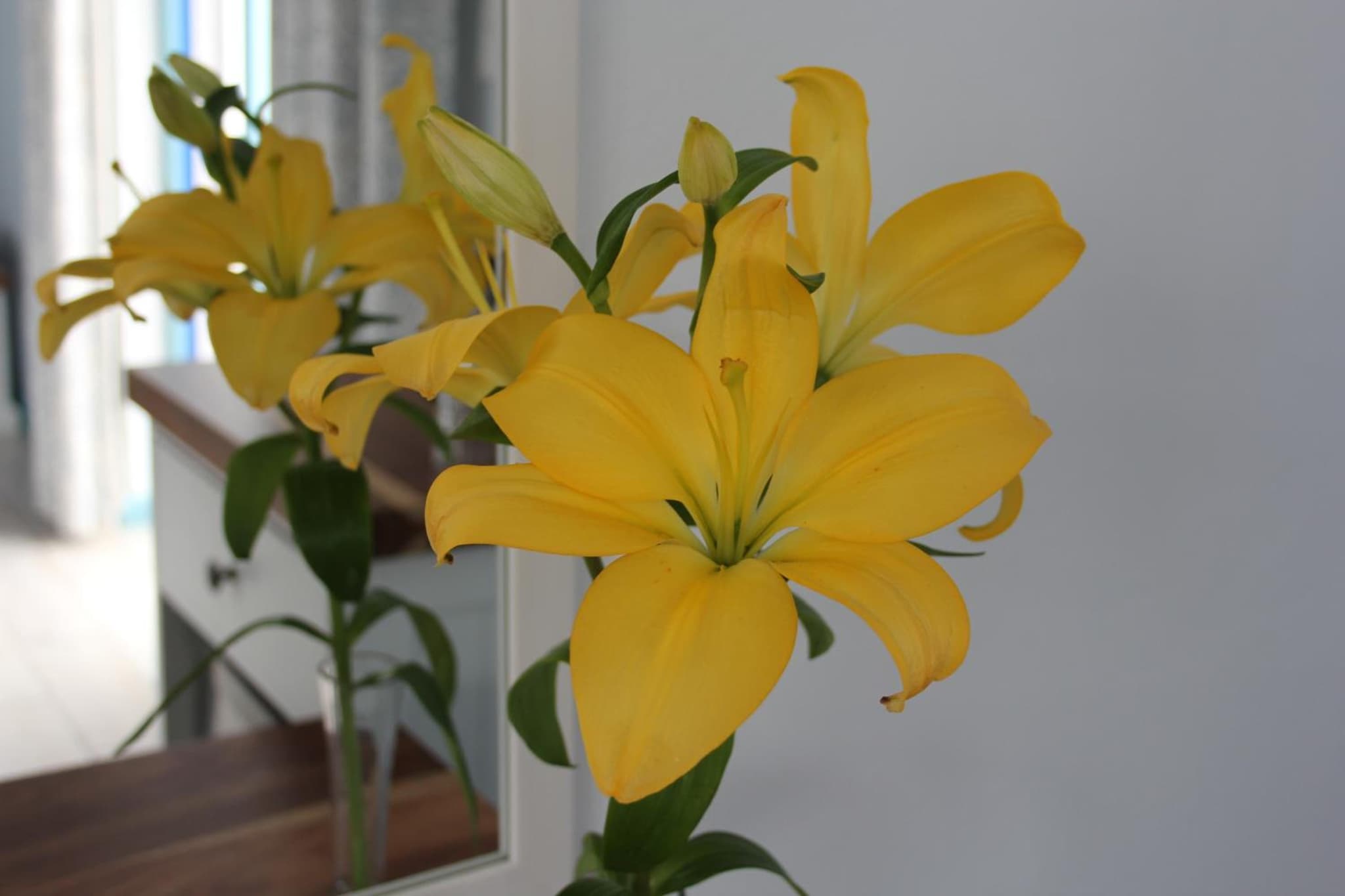 BlueSky Arniston Boutique Guesthouse photo 6