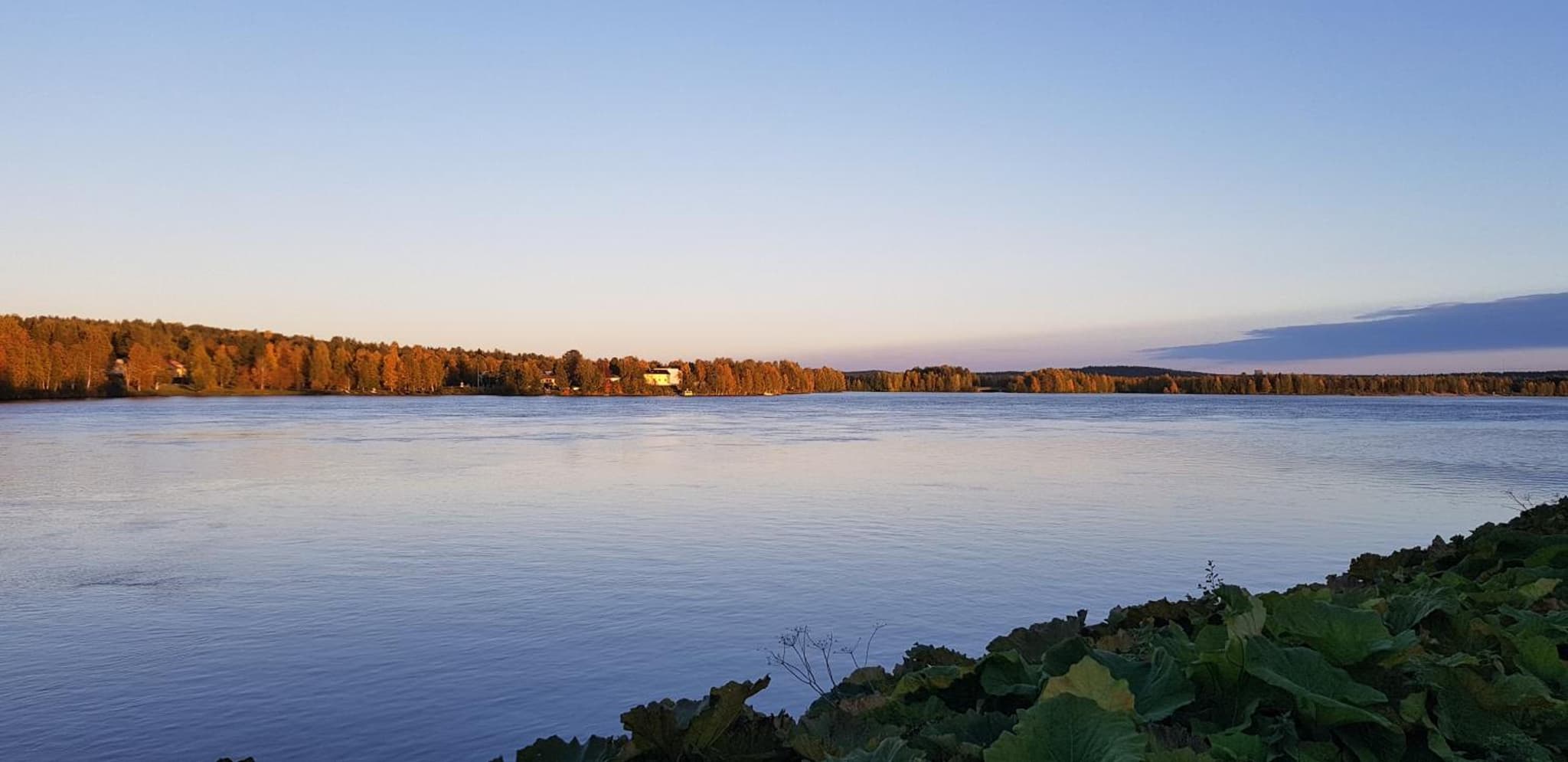 Kismet By BookLapland photo 6