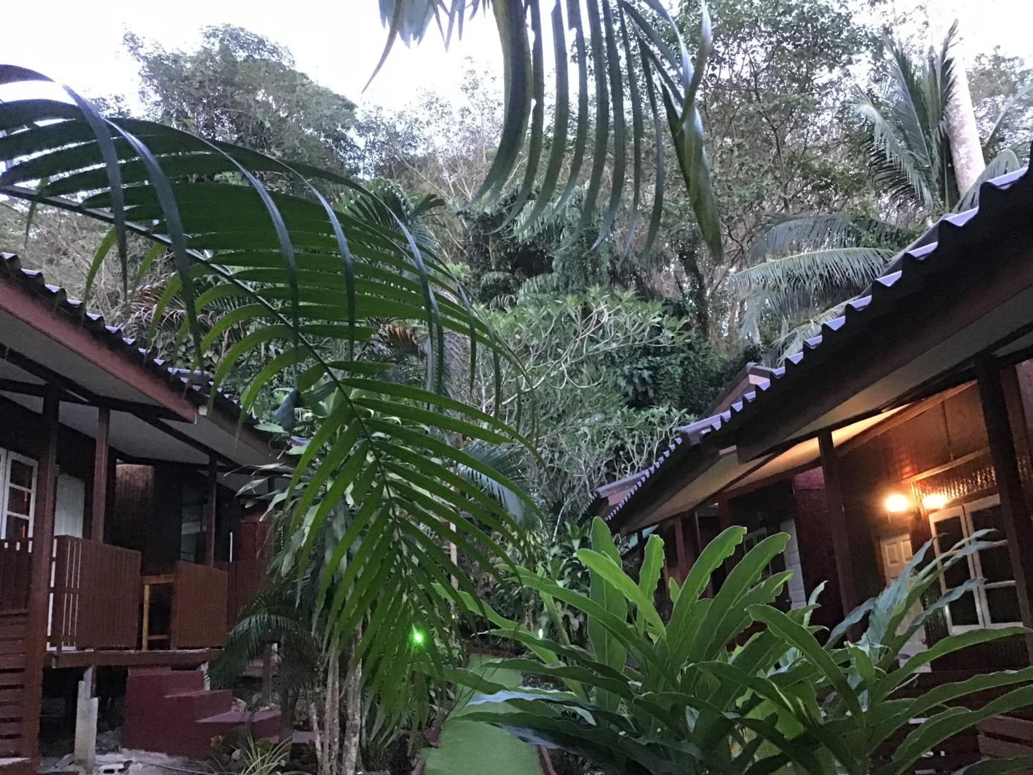 Grand Tree Bungalows photo 9