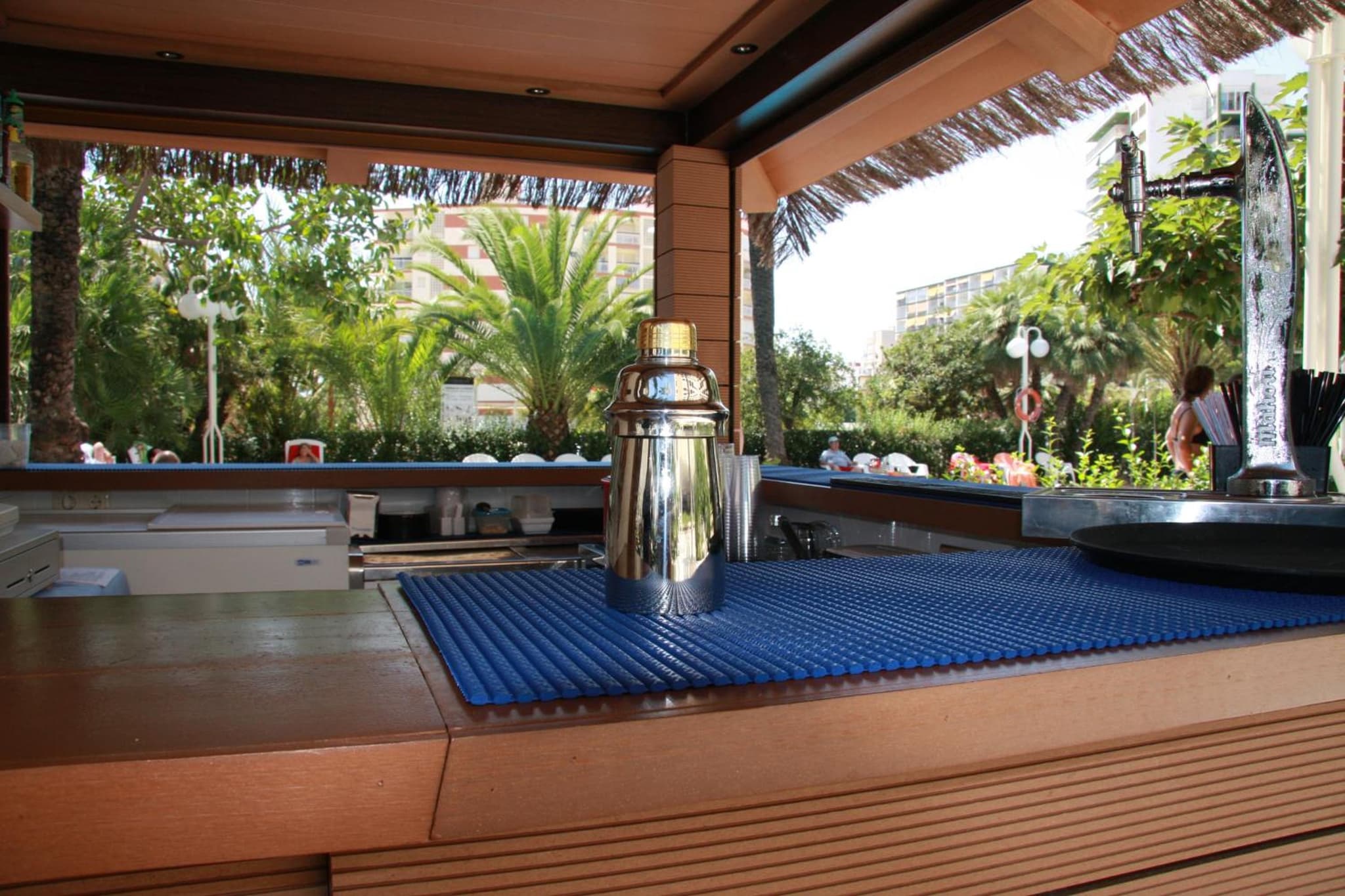 Hotel Los Robles photo 5
