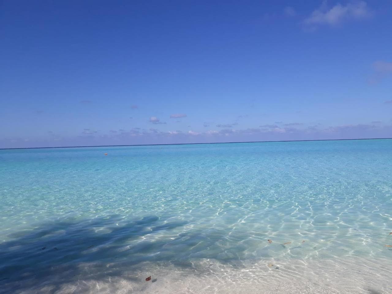 Thoddoo Beach Holiday photo 2