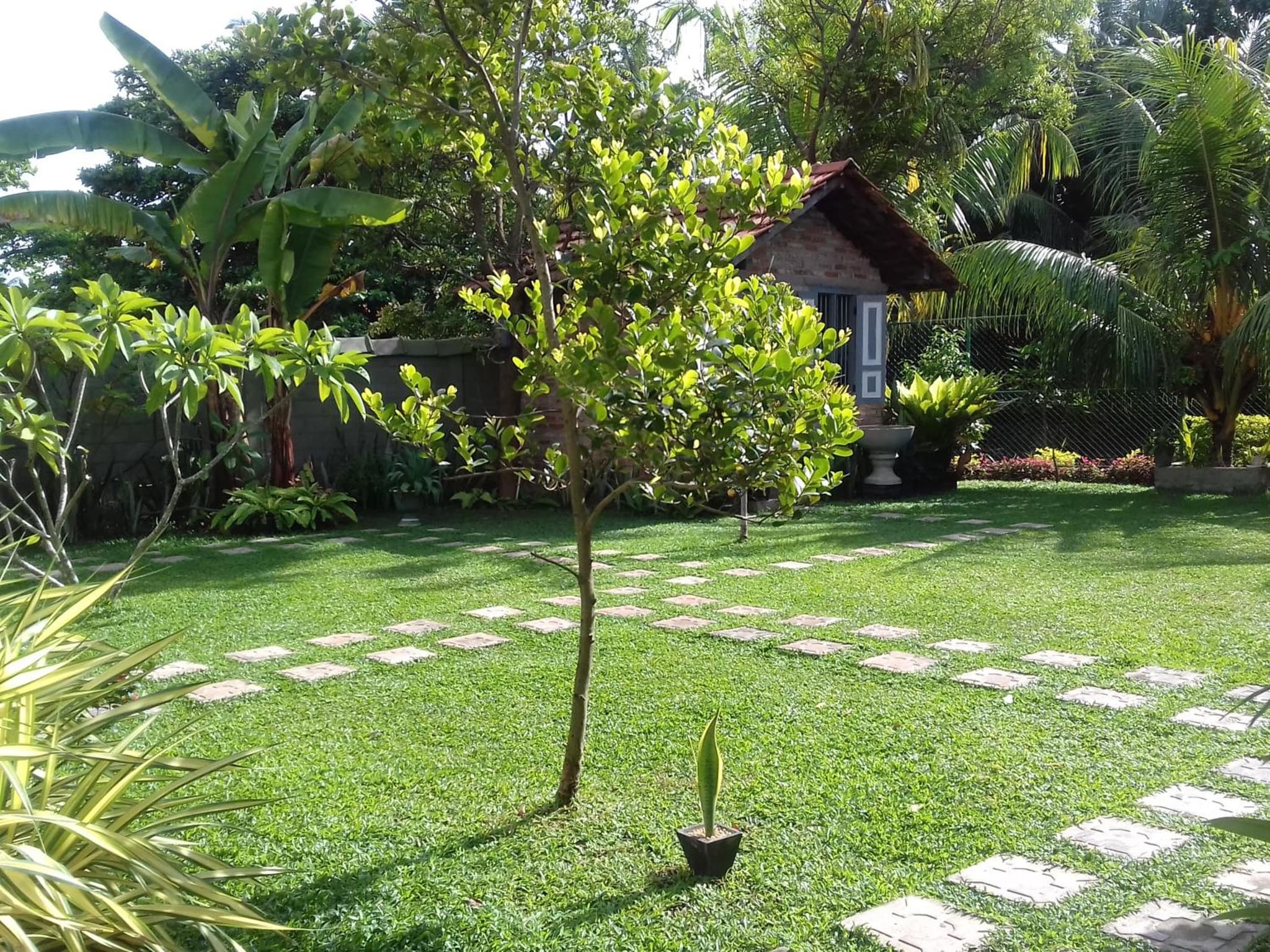 Green Wood Villa Negombo photo 6