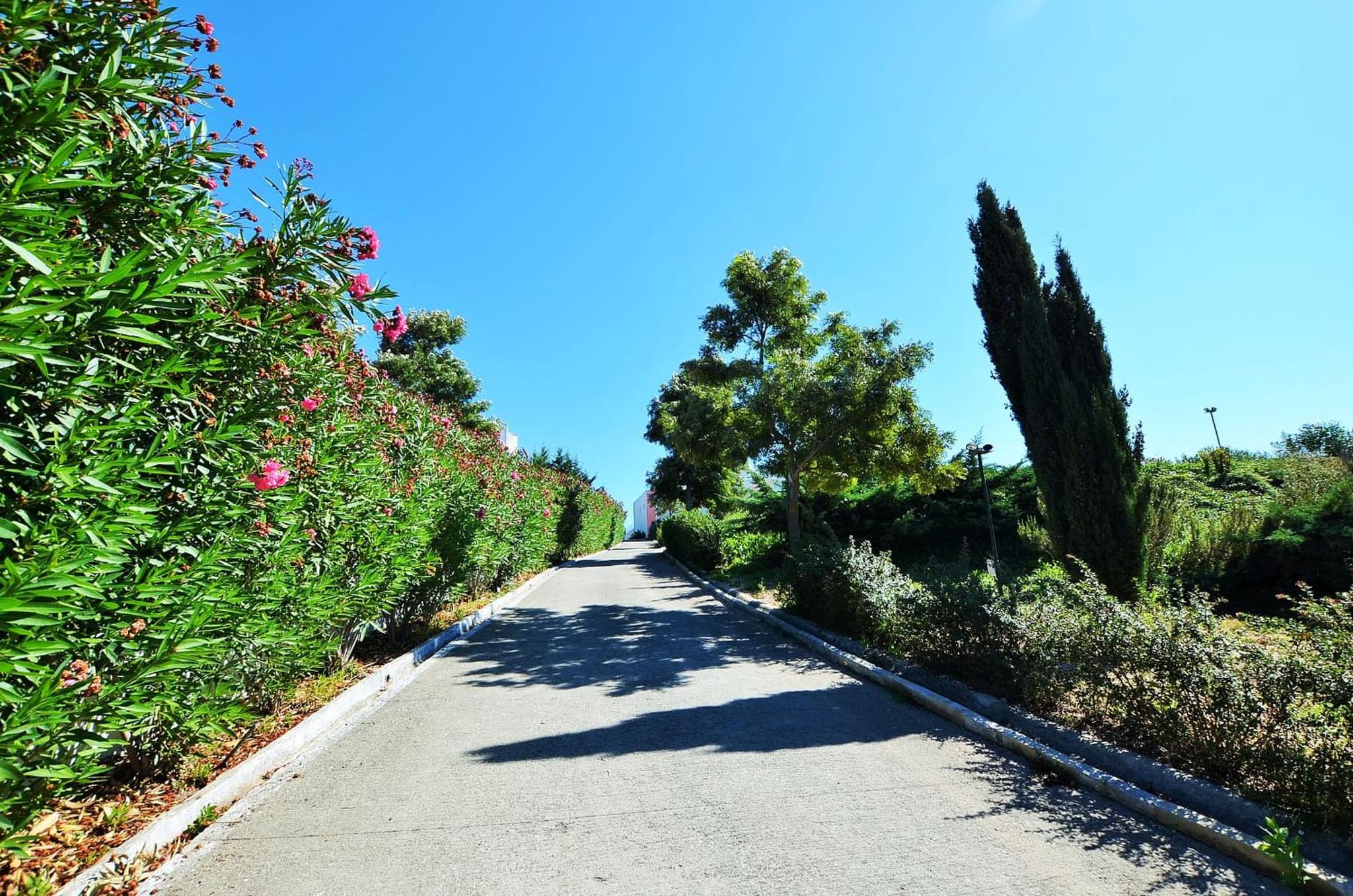 HILLTOP OASIS Lisboa Oeiras photo 9