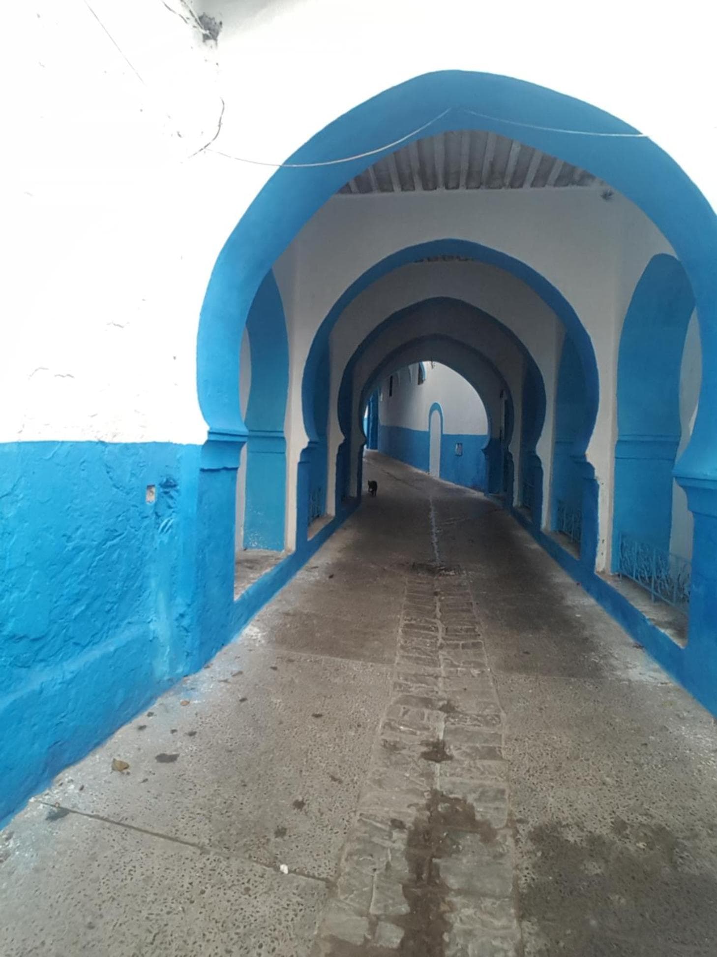 Sultana larache photo 3