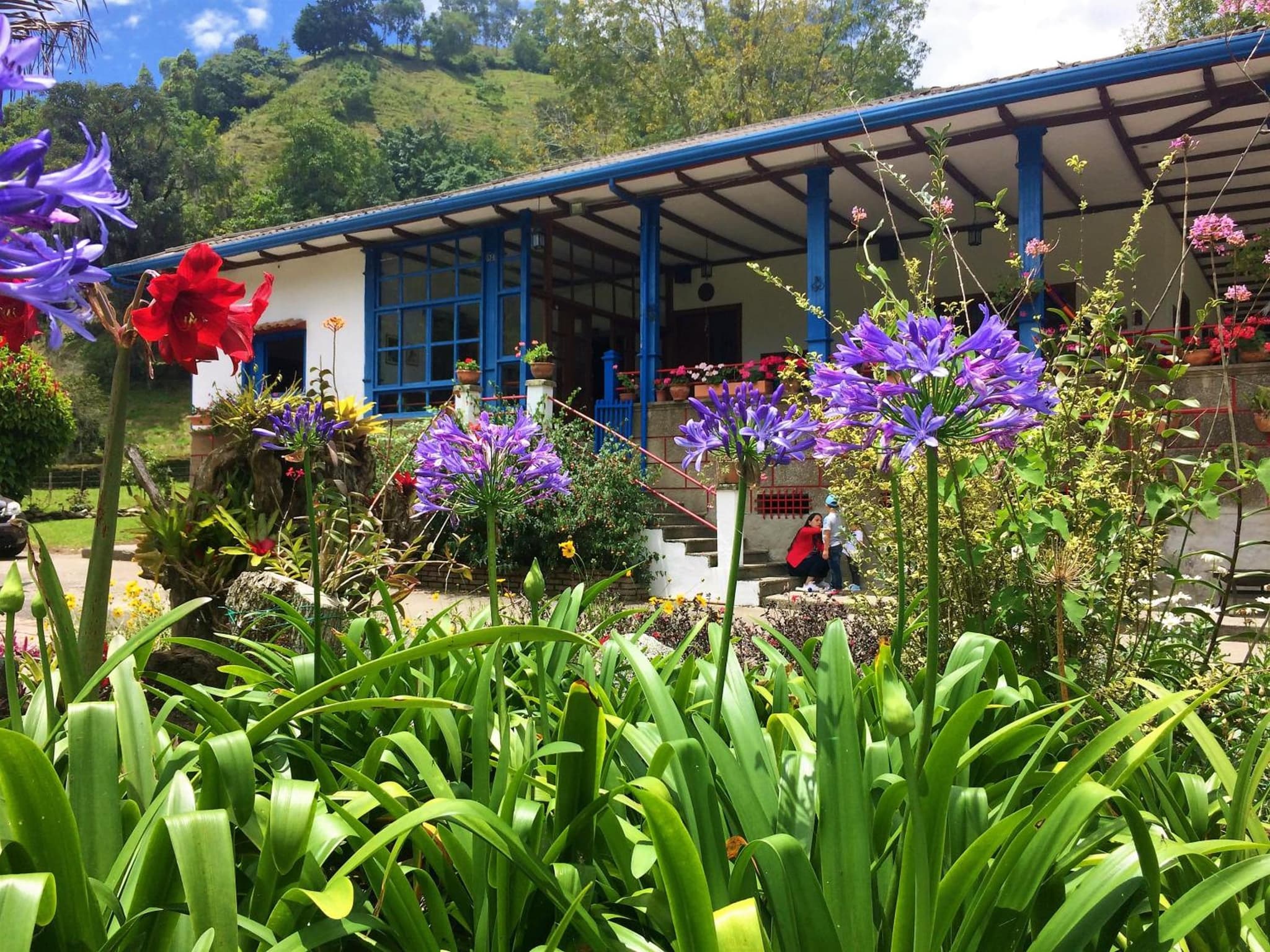 Reserva Guadalajara - Authentic farm in Cocora Valley