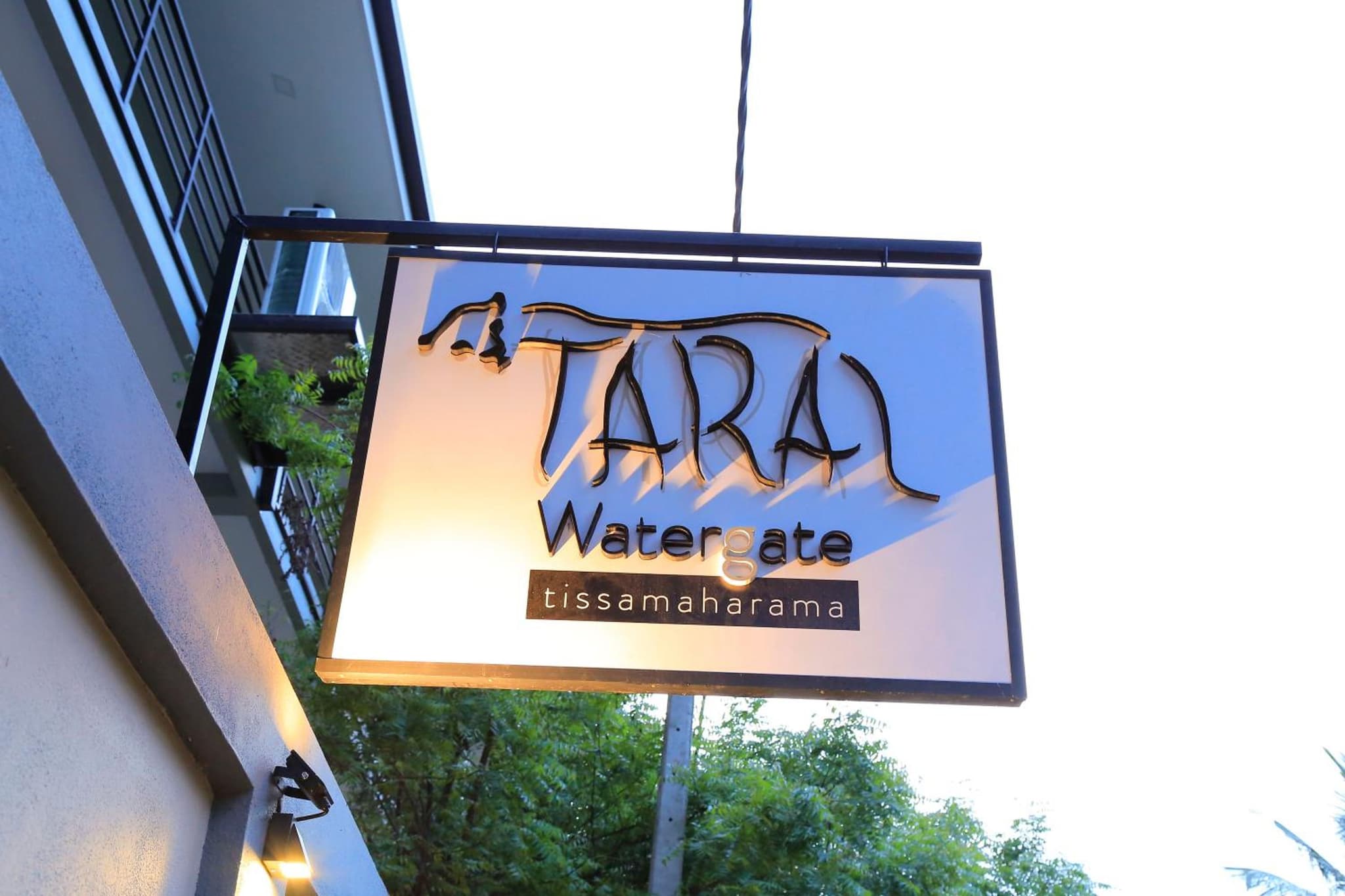Tara Watergate photo 6