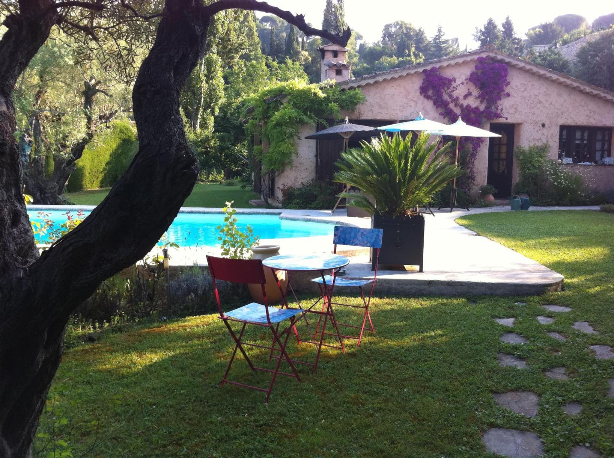 ABEILLE photo 9