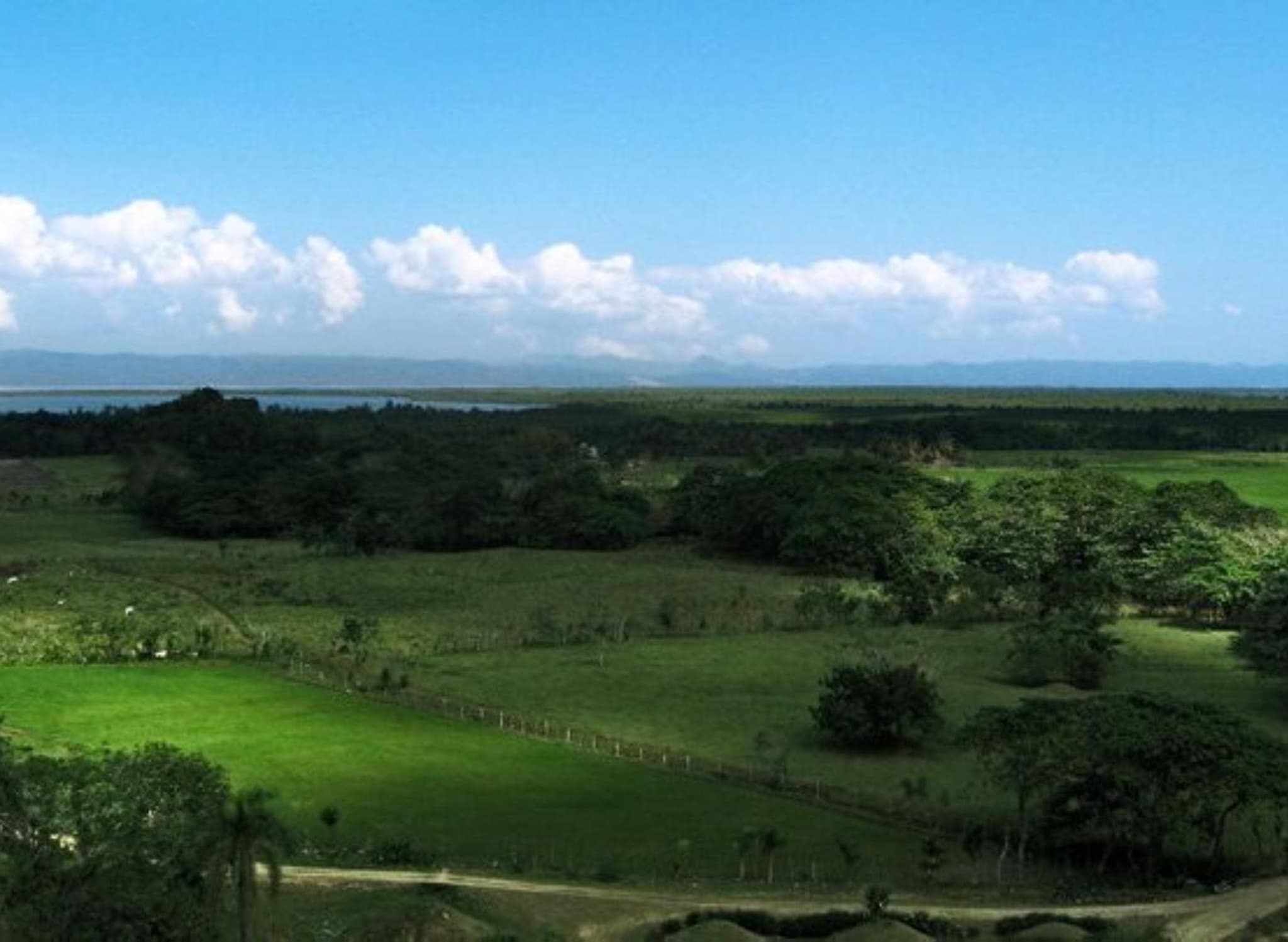 Paraiso Caño Hondo photo 6