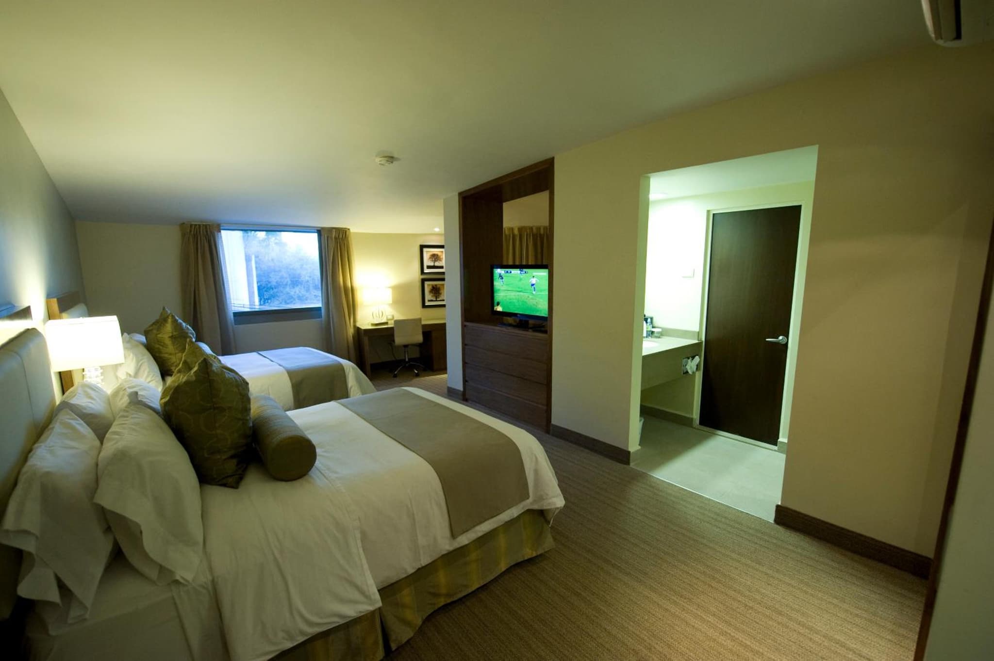 Antaris Valle photo 6