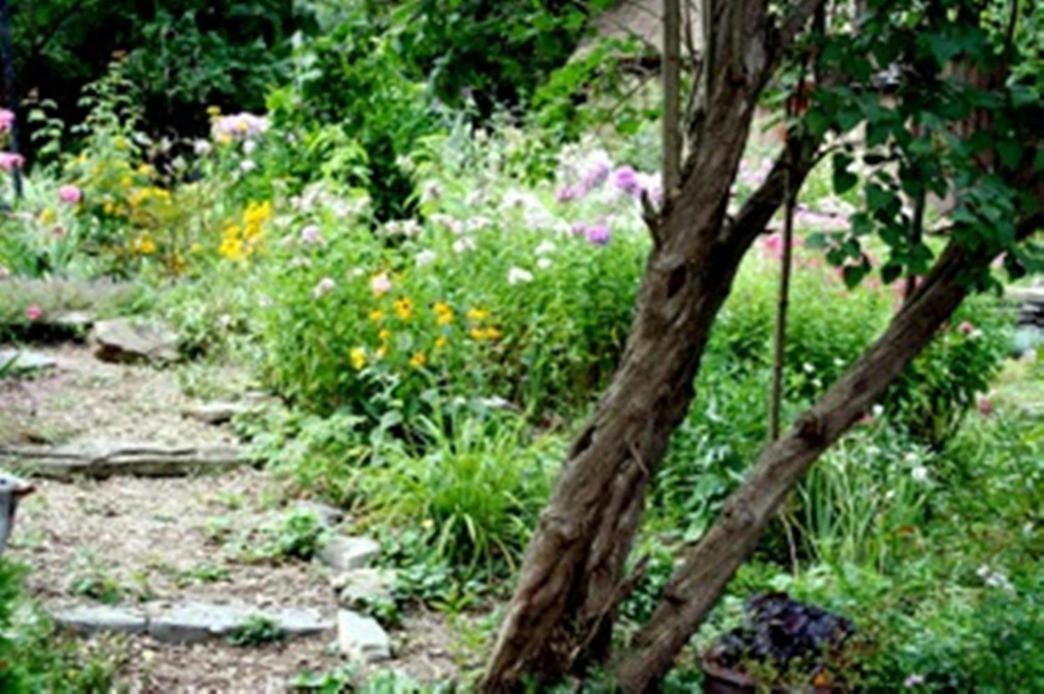 Burley's Executive Garden Suite photo 4