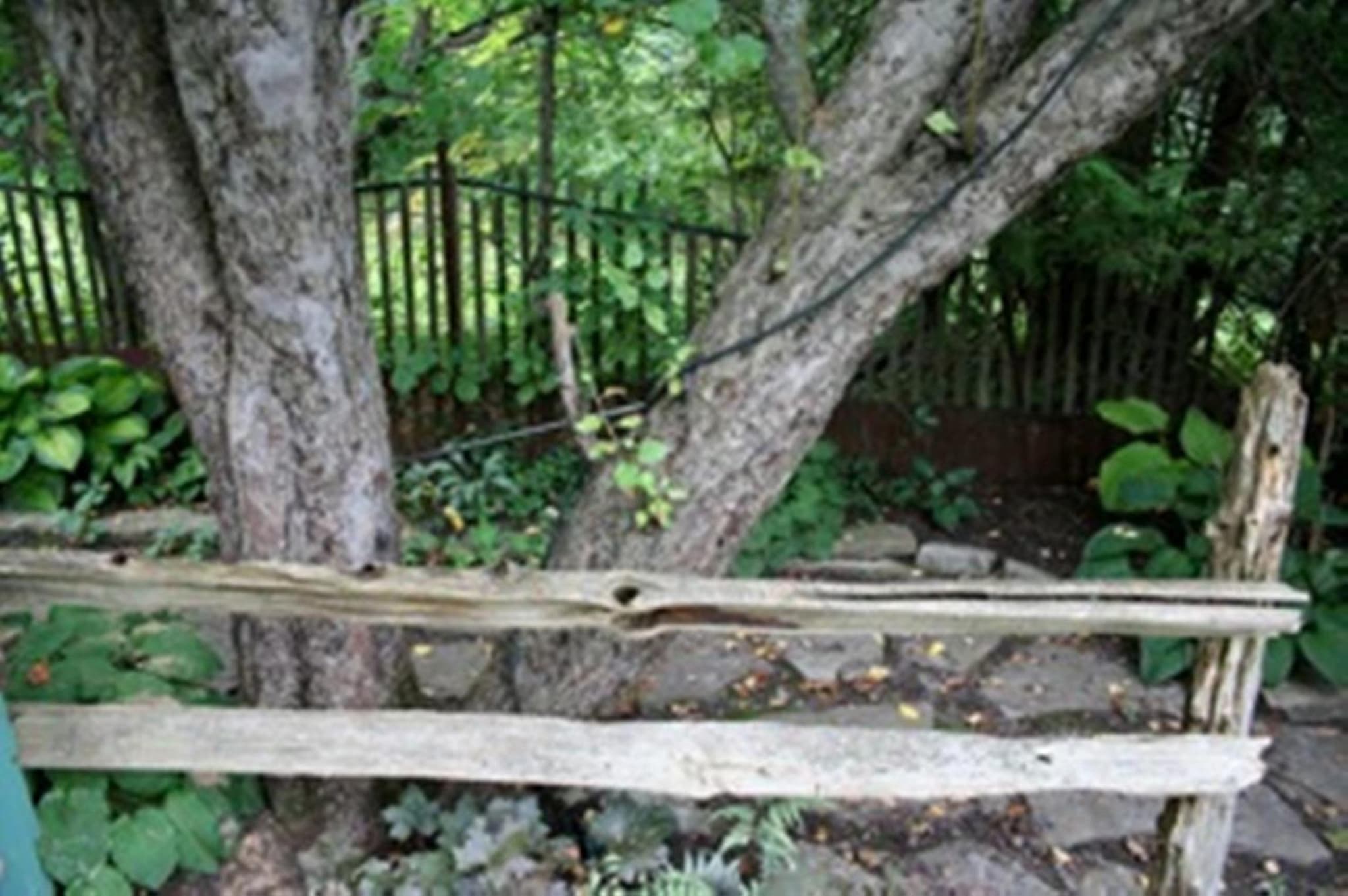 Burley's Executive Garden Suite photo 3