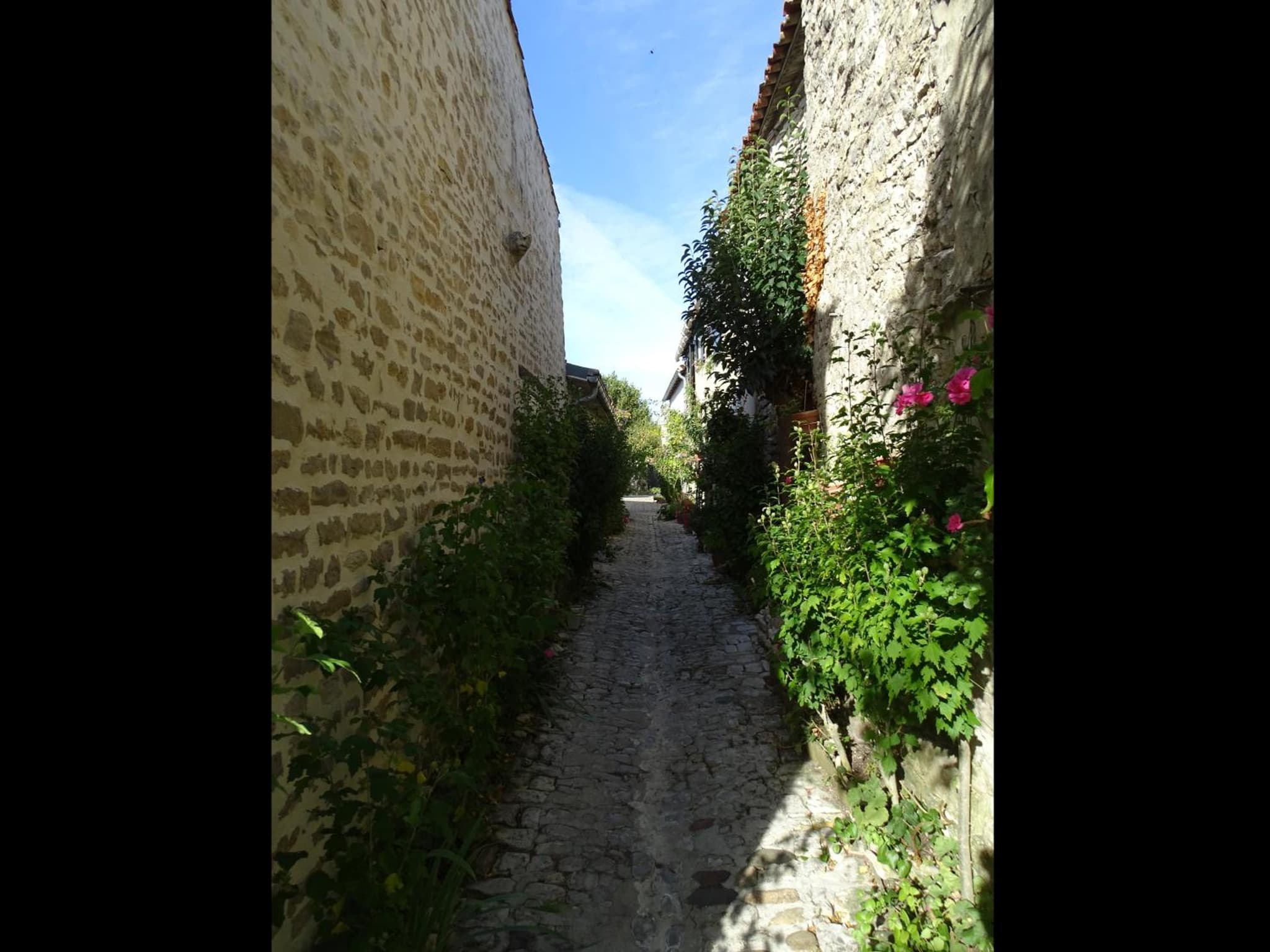 Maison Salicorne photo 9