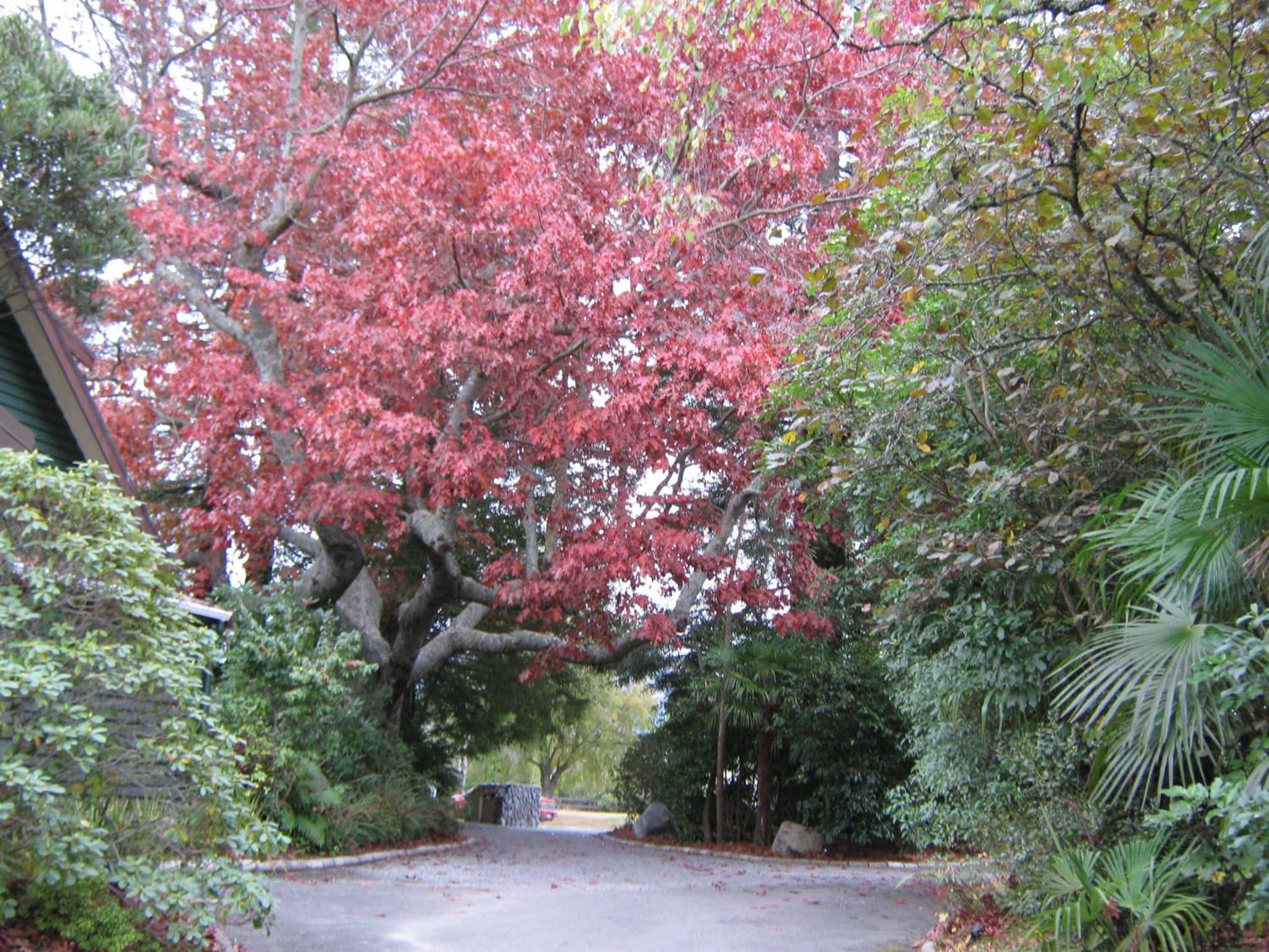 Creel Lodge photo 9