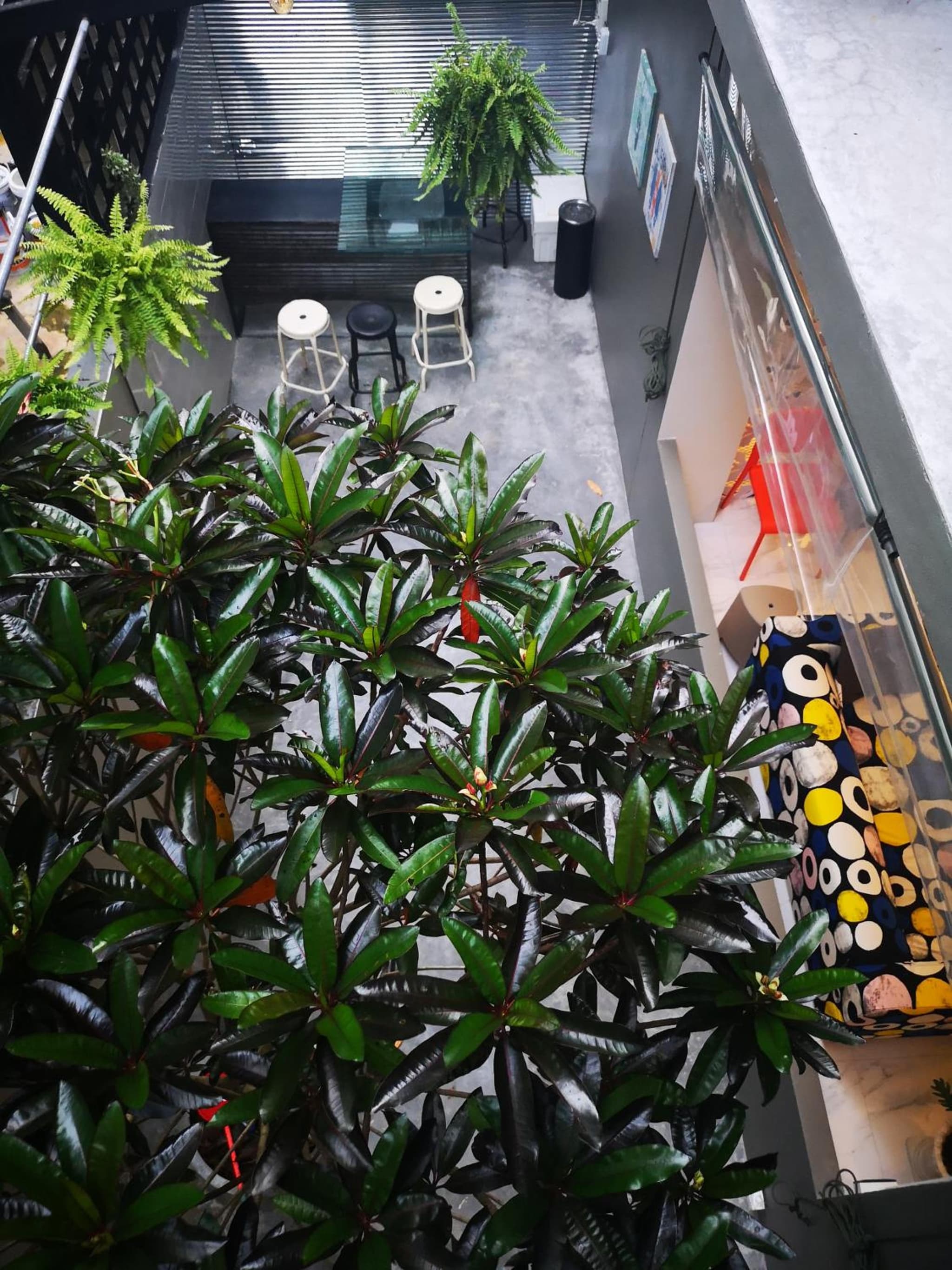 Get GuestHouse 2 ( Sangsri soi 4) photo 4