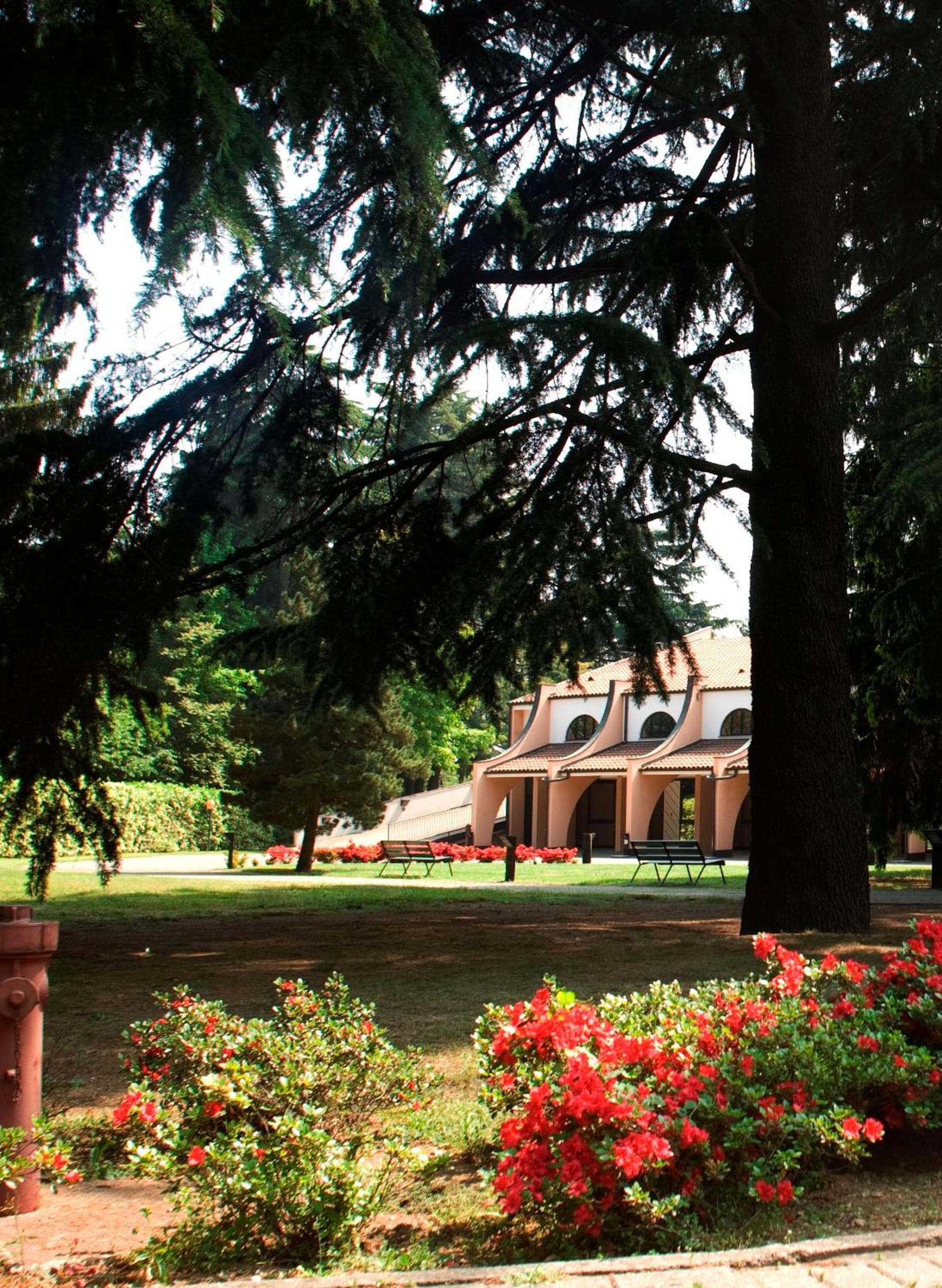 Hotel Pineta photo 5