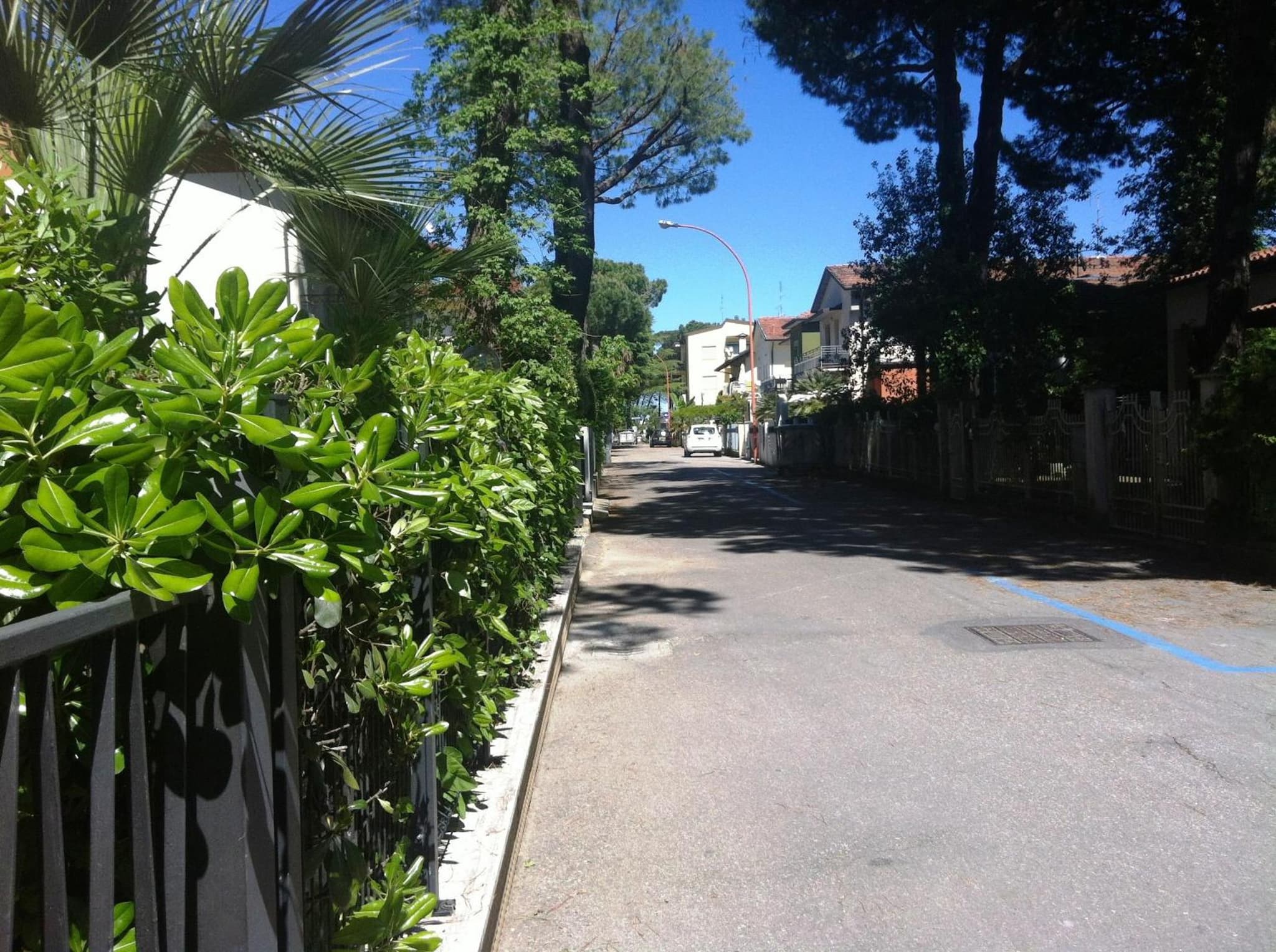 Alice Hotel photo 9