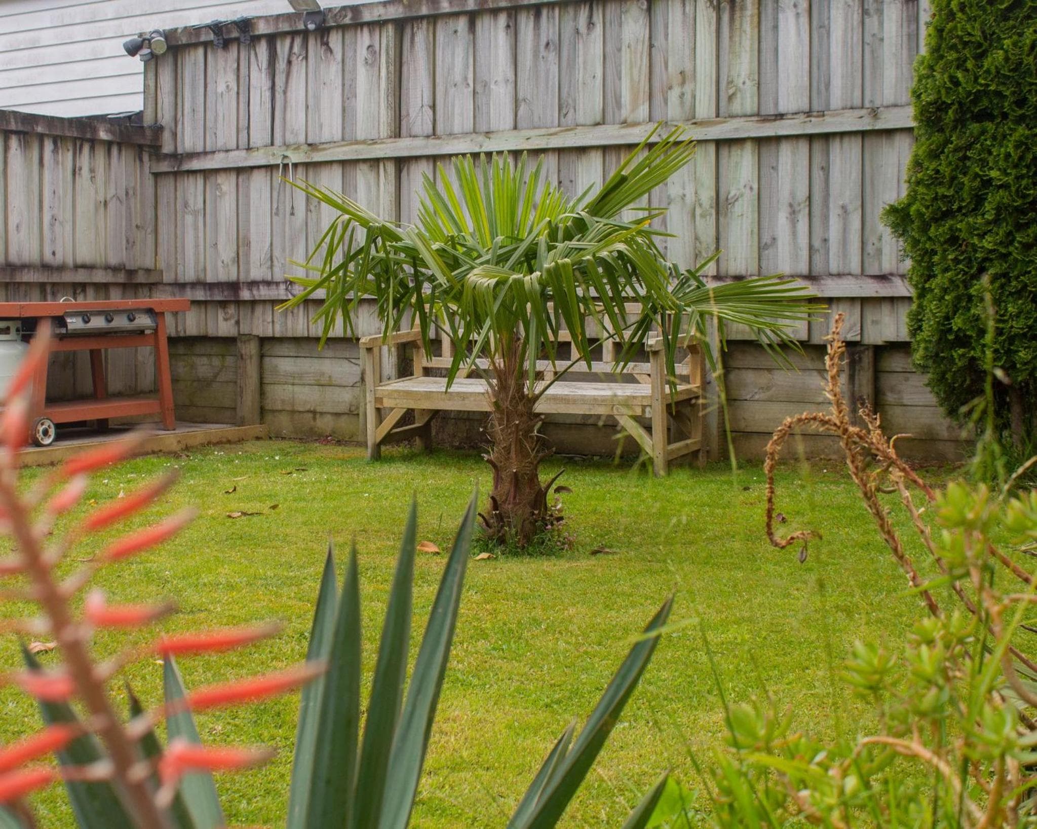 Palm Motel Waihi photo 3