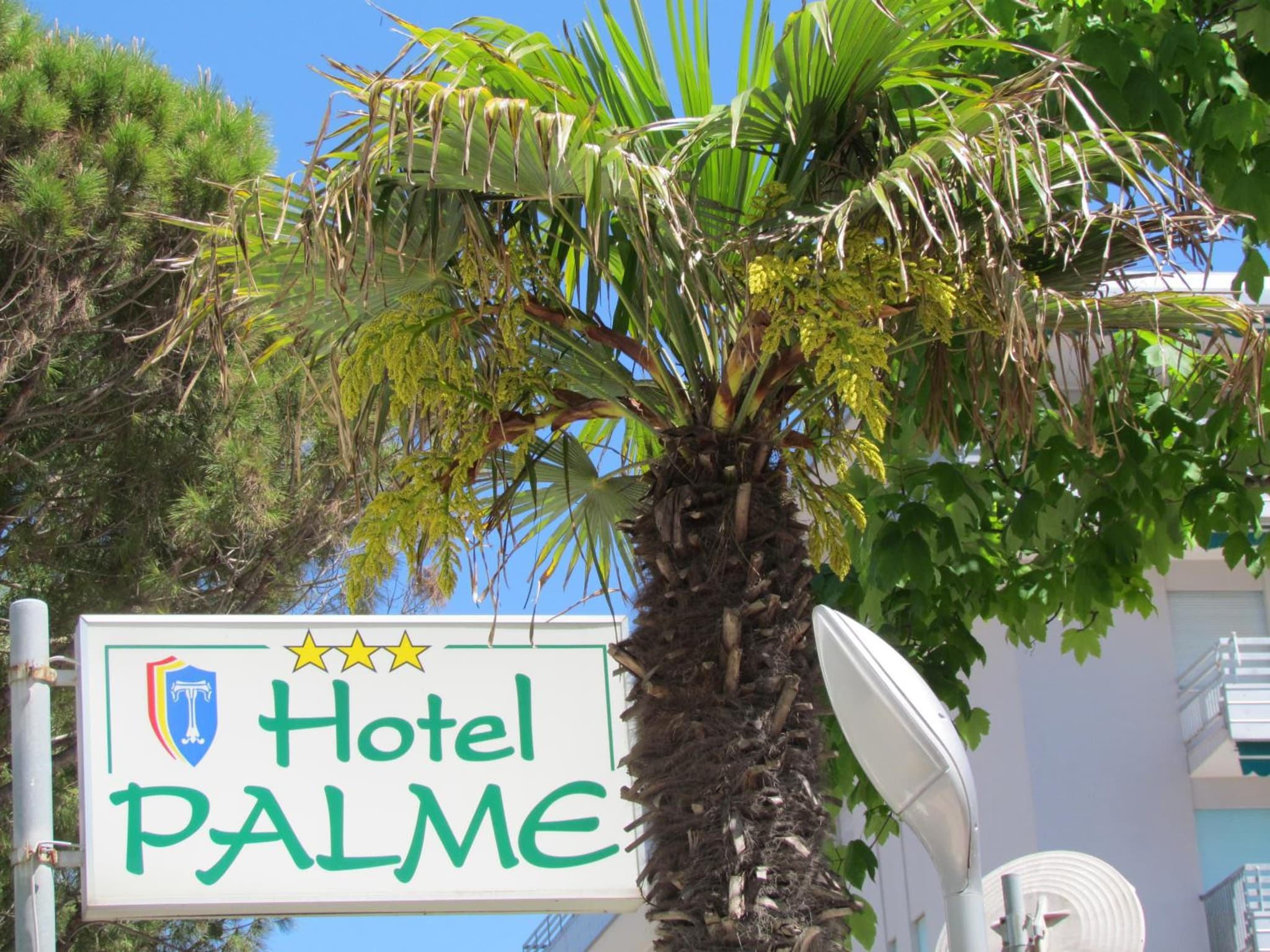 Hotel Palme photo 6