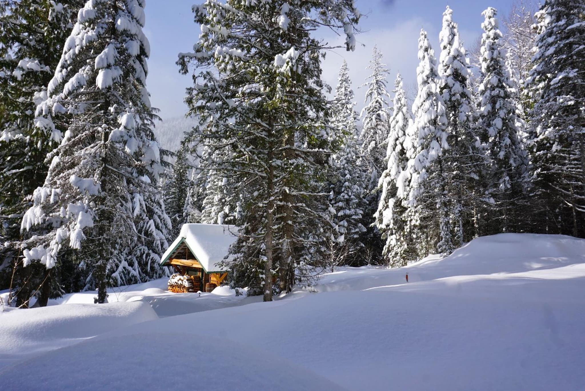 Logden Lodge photo 5